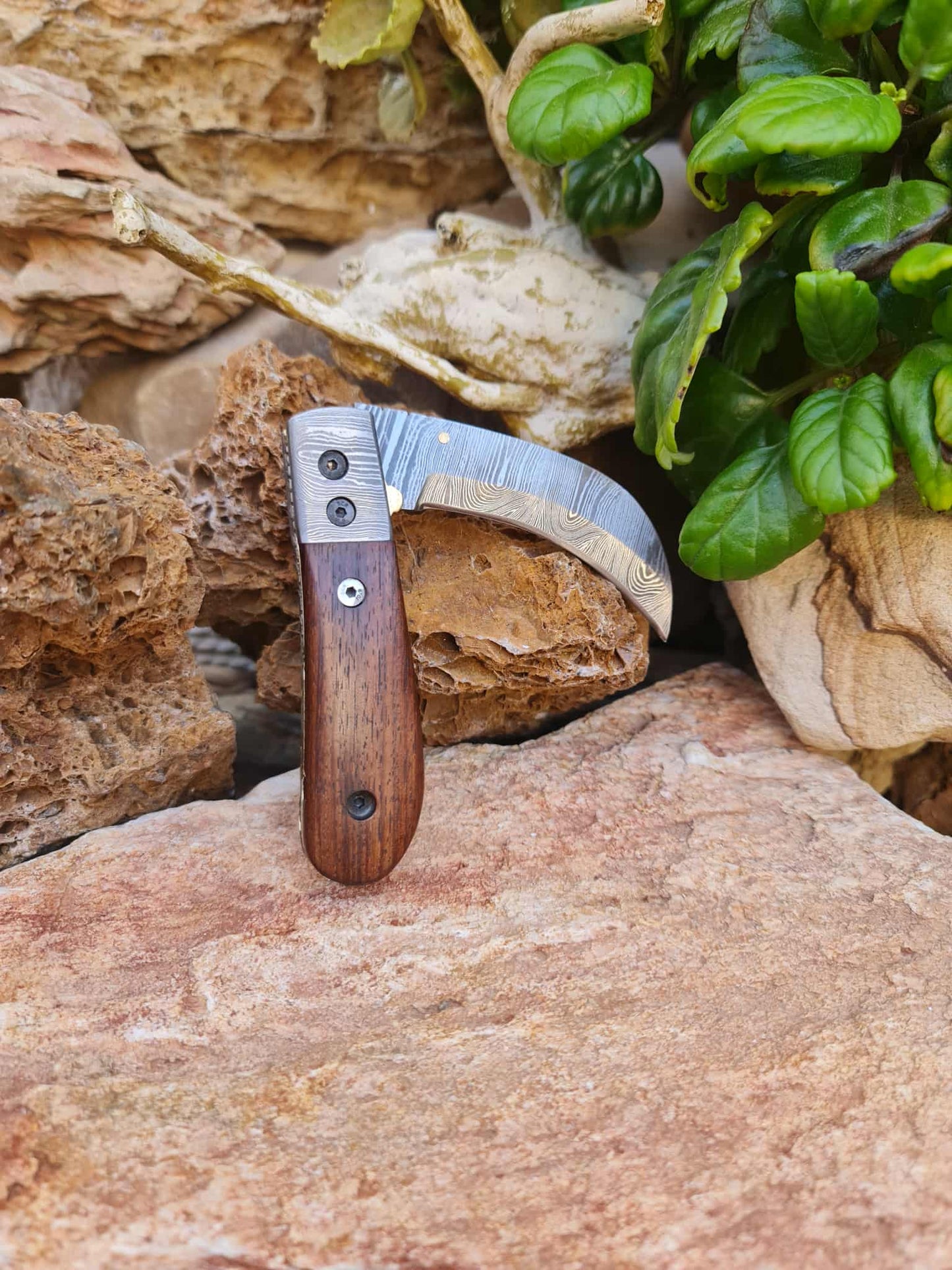 Handmade Hawkbill – 18cm Folding Knife with Damascus Steel & Walnut Wood