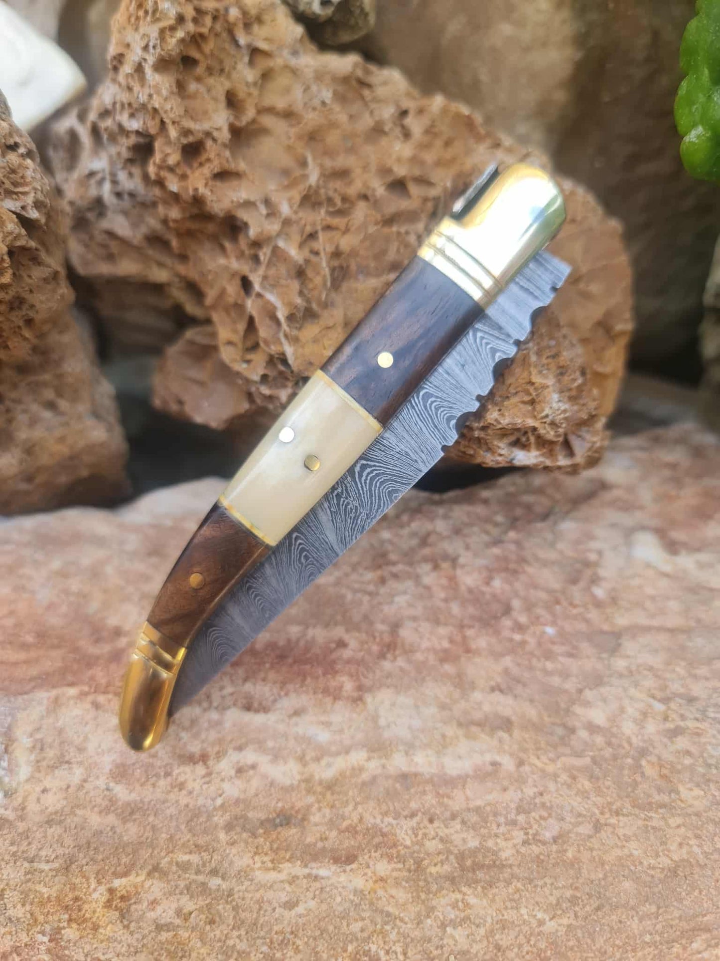 Handmade 22cm Laguiole Classique with Damascus Steel - Rosewood - Camel Bone & Brass