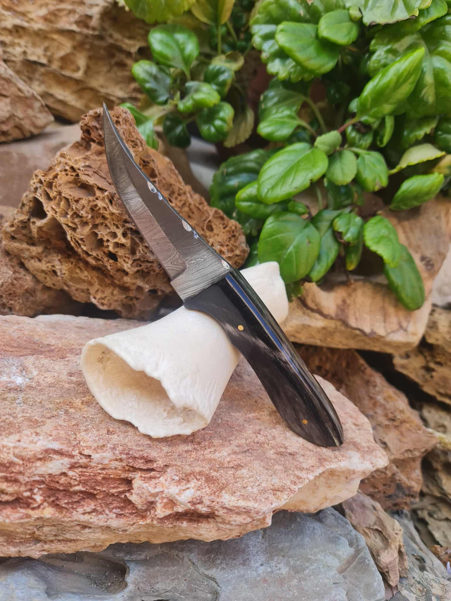 Handmade 21cm Hunting Knife with Damascus Steel & Buffalo Horn