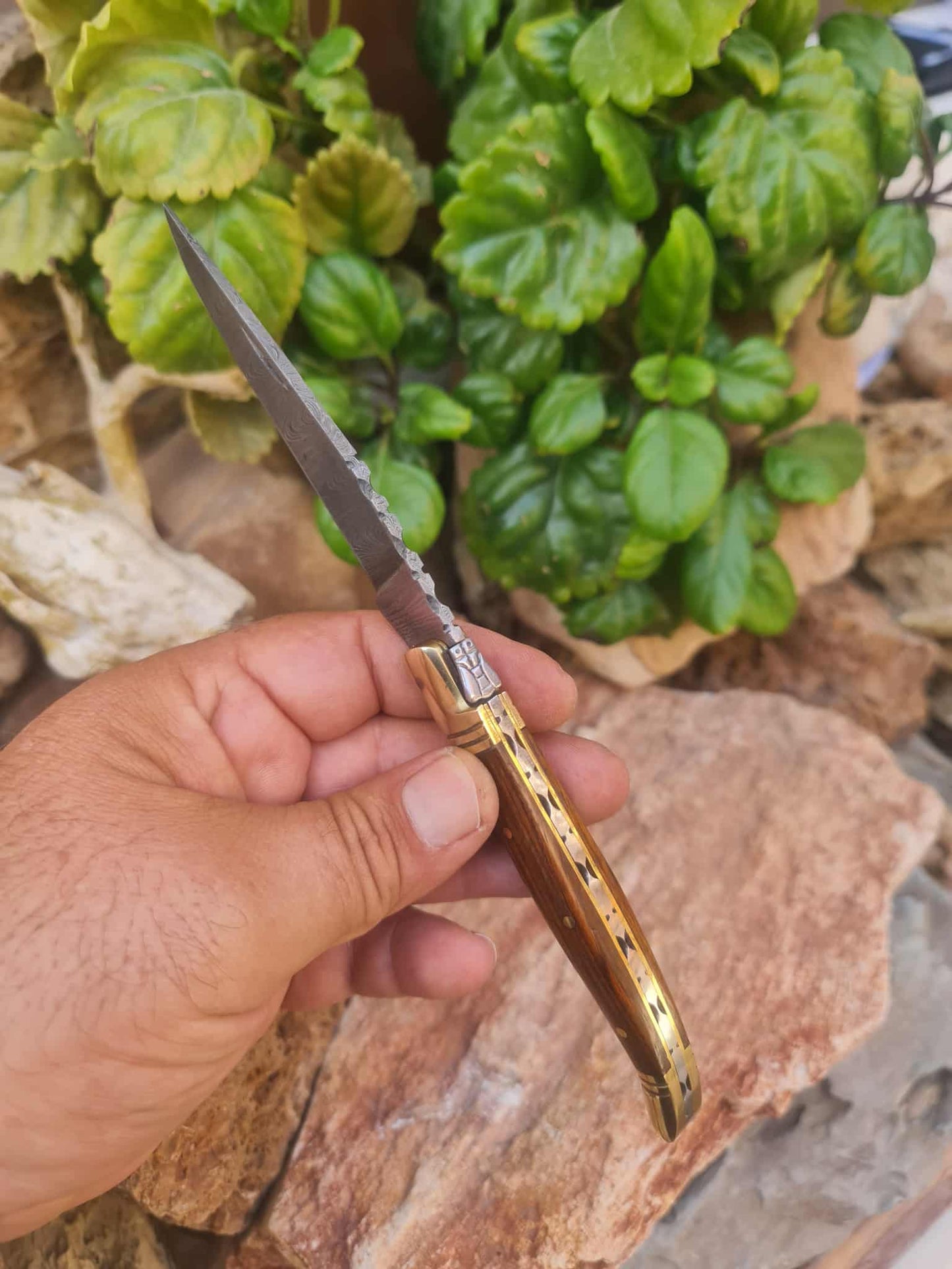 Handmade 22cm Laguiole Classique with Damascus Steel - Walnut wood & Brass