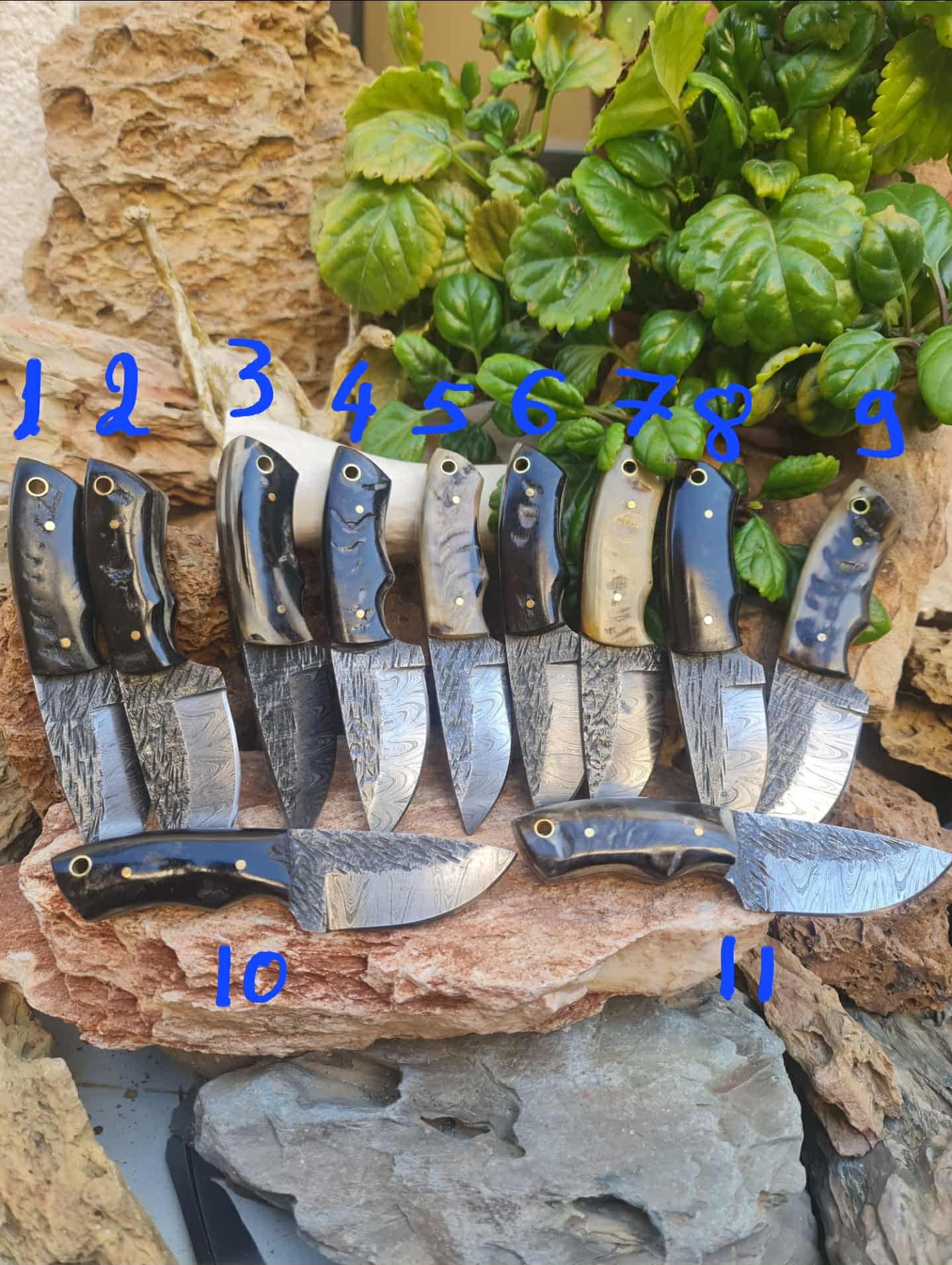 Handmade 15cm Mini Skinner Knife with Damascus Steel & Ram Horn
