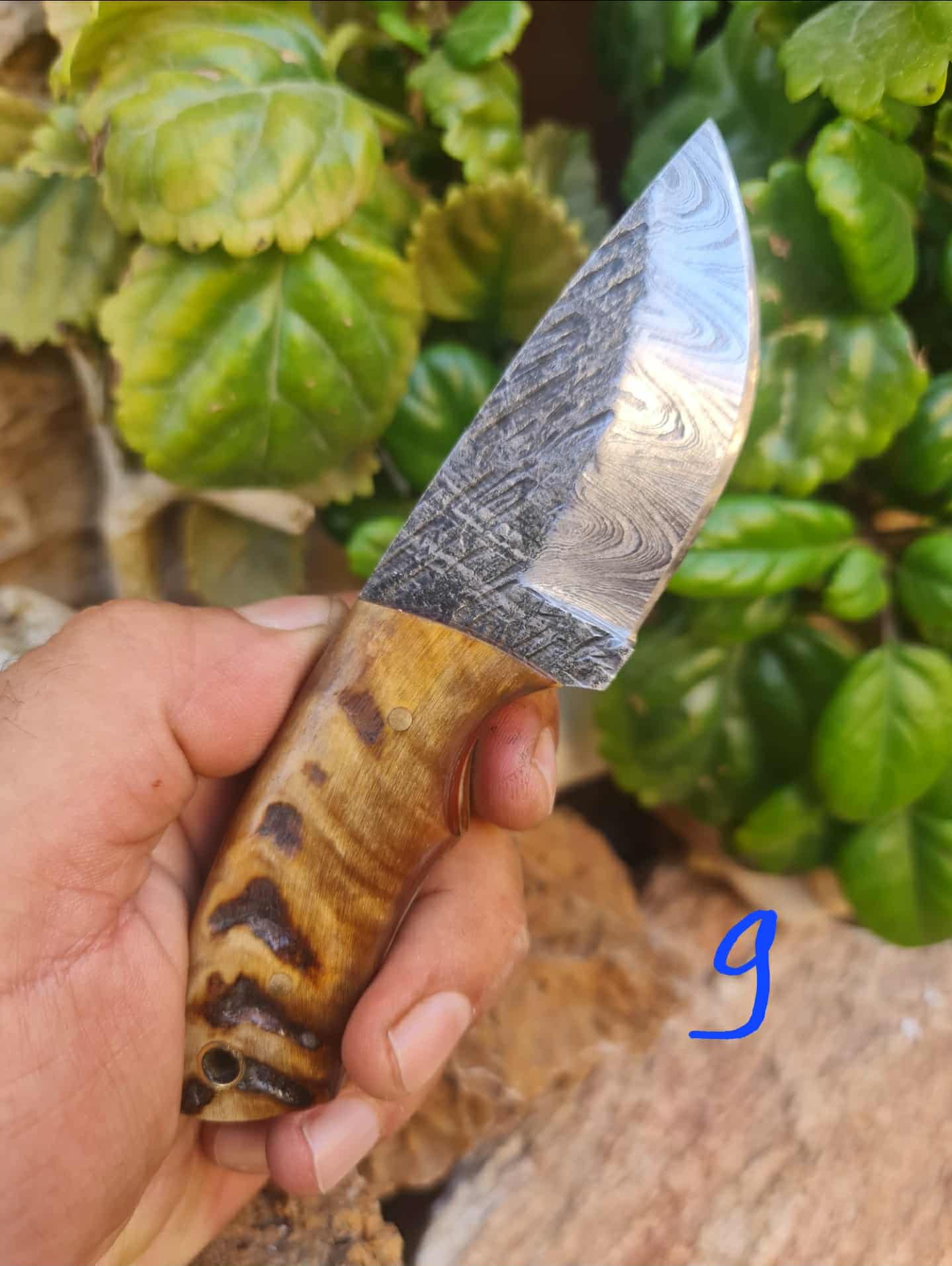 Handmade 15cm Mini Skinner Knife with Damascus Steel & Ram Horn