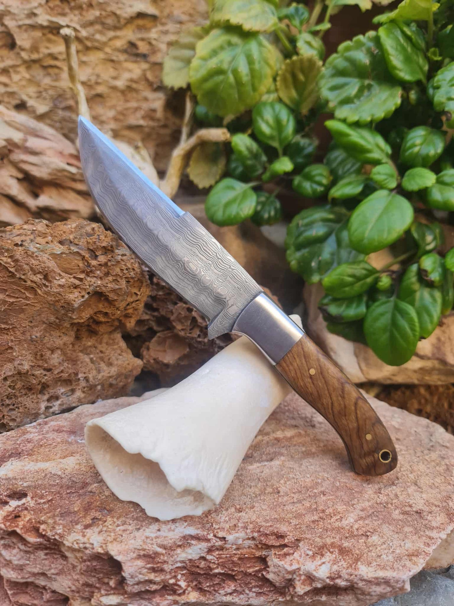 Handmade 24cm Hunting Knife with Raindrop Damascus Steel - Walnut wood & D2 Stainless Steel