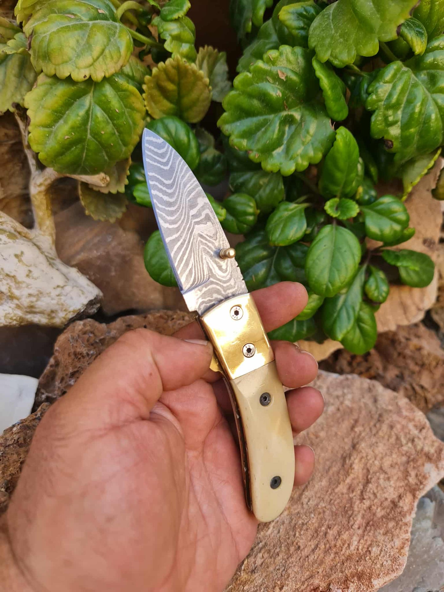 Handmade Classic Elegance – 18cm Folding Knife with Damascus Steel - Camel bone & Brass