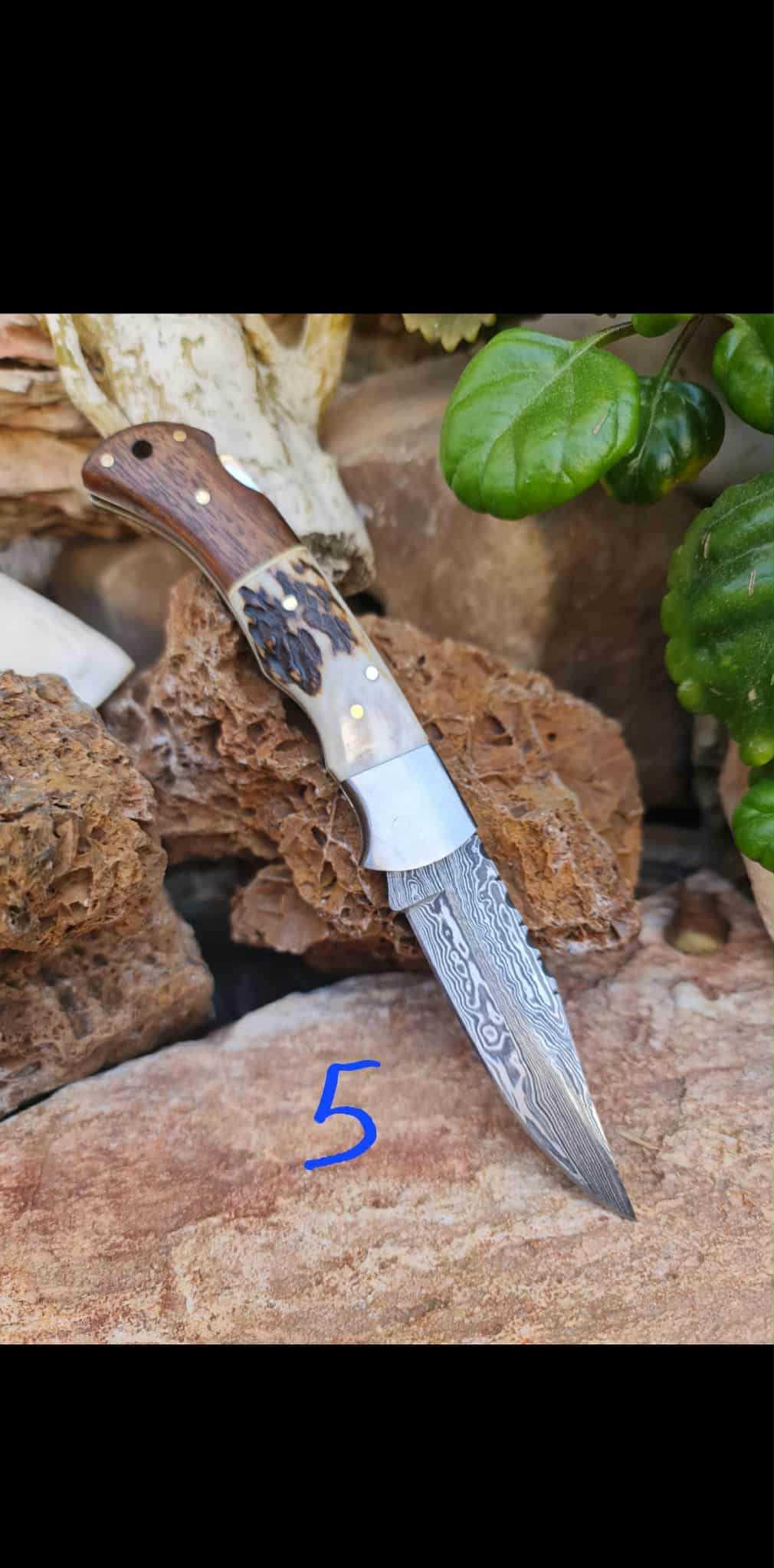 Handmade 19cm Pocket Knife with Damascus Steel - Red deer antler - Walnut wood & D2 Stainless Steel