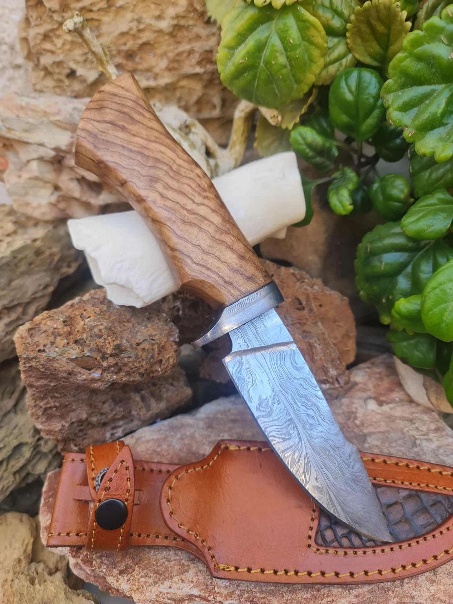 Handmade 27cm Hunting Knife with Feather Damascus Steel & Olive wood