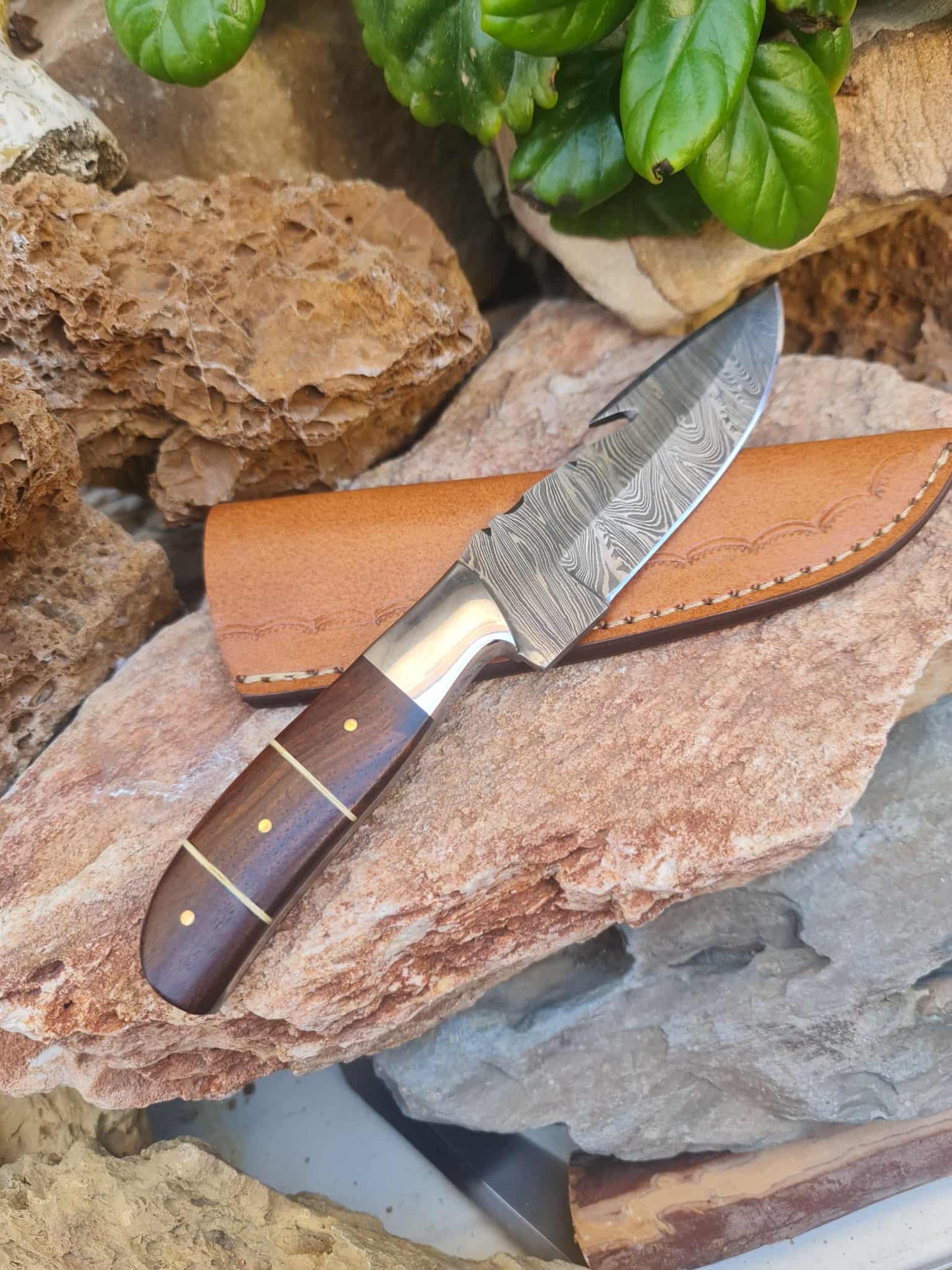 Handmade 21cm Gut hook Knife with Damascus Steel - Walnut wood & D2 Stainless Steel