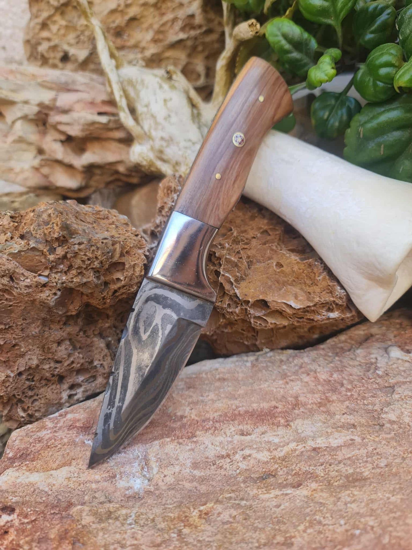 Handmade 20cm Skinner Knife with Damascus Steel - Olive wood & D2 Stainless Steel