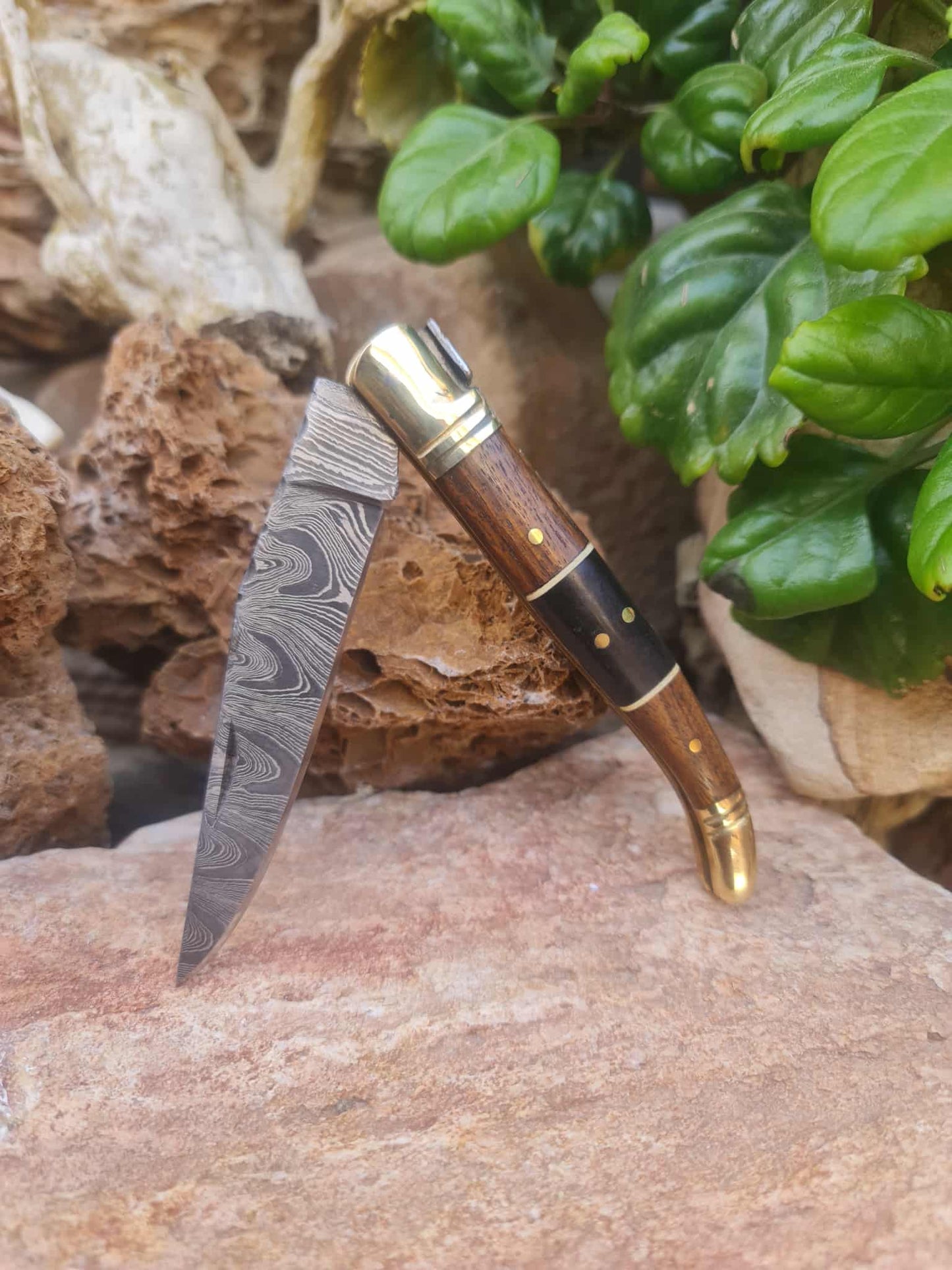 Handmade 22cm Laguiole Classique with Damascus Steel - Walnut wood - Buffalo Horn & Brass