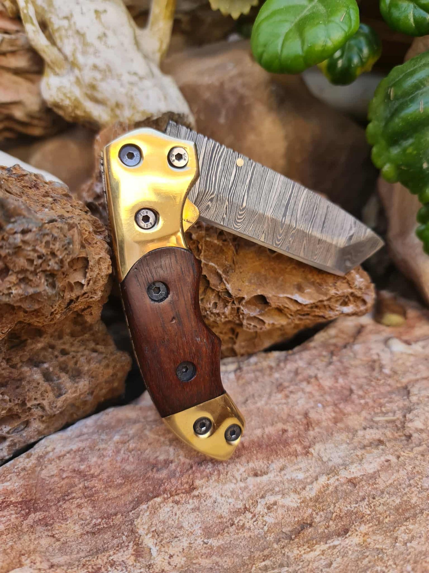 Handmade Tanto – 19cm Folding Knife with Damascus Steel - Walnut Wood & Brass