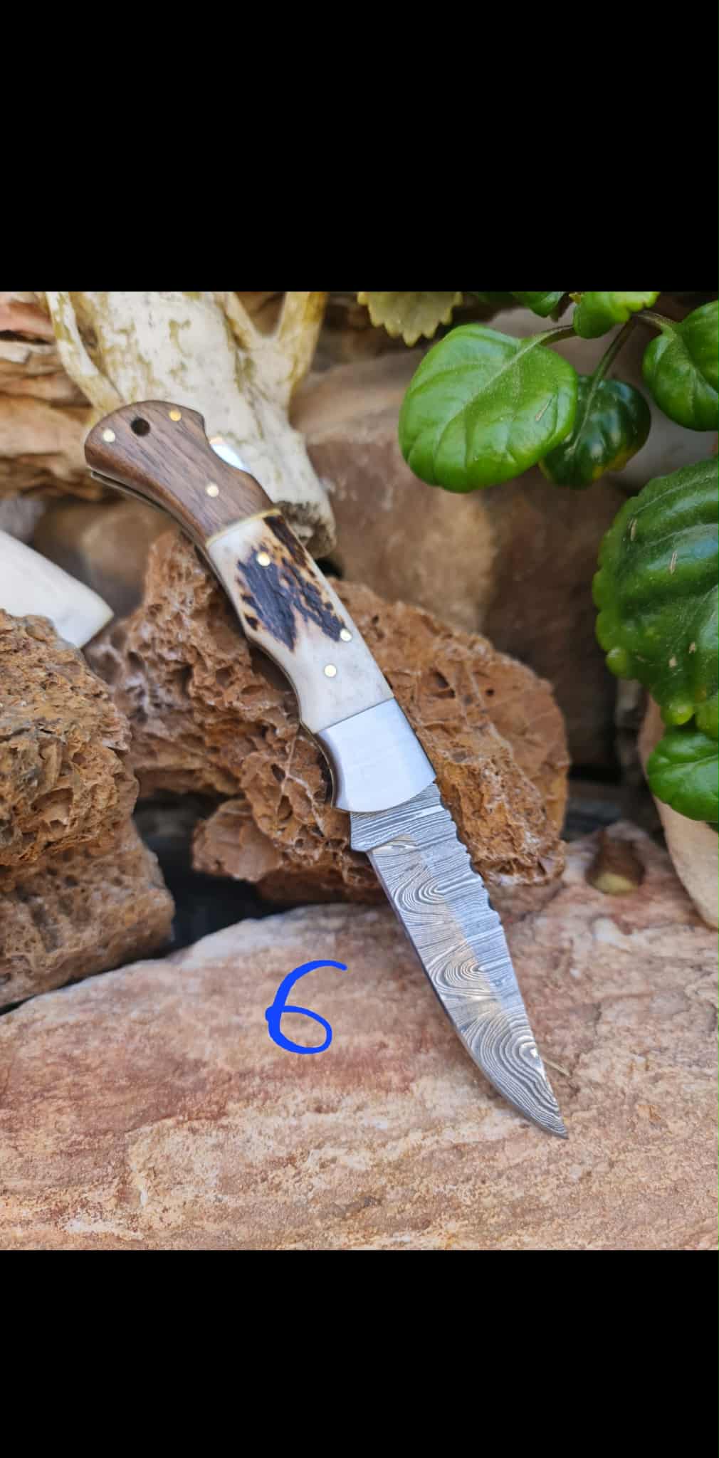 Handmade 19cm Pocket Knife with Damascus Steel - Red deer antler - Walnut wood & D2 Stainless Steel