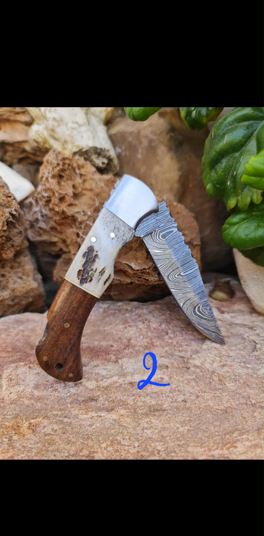 Handmade 19cm Pocket Knife with Damascus Steel - Red deer antler - Walnut wood & D2 Stainless Steel