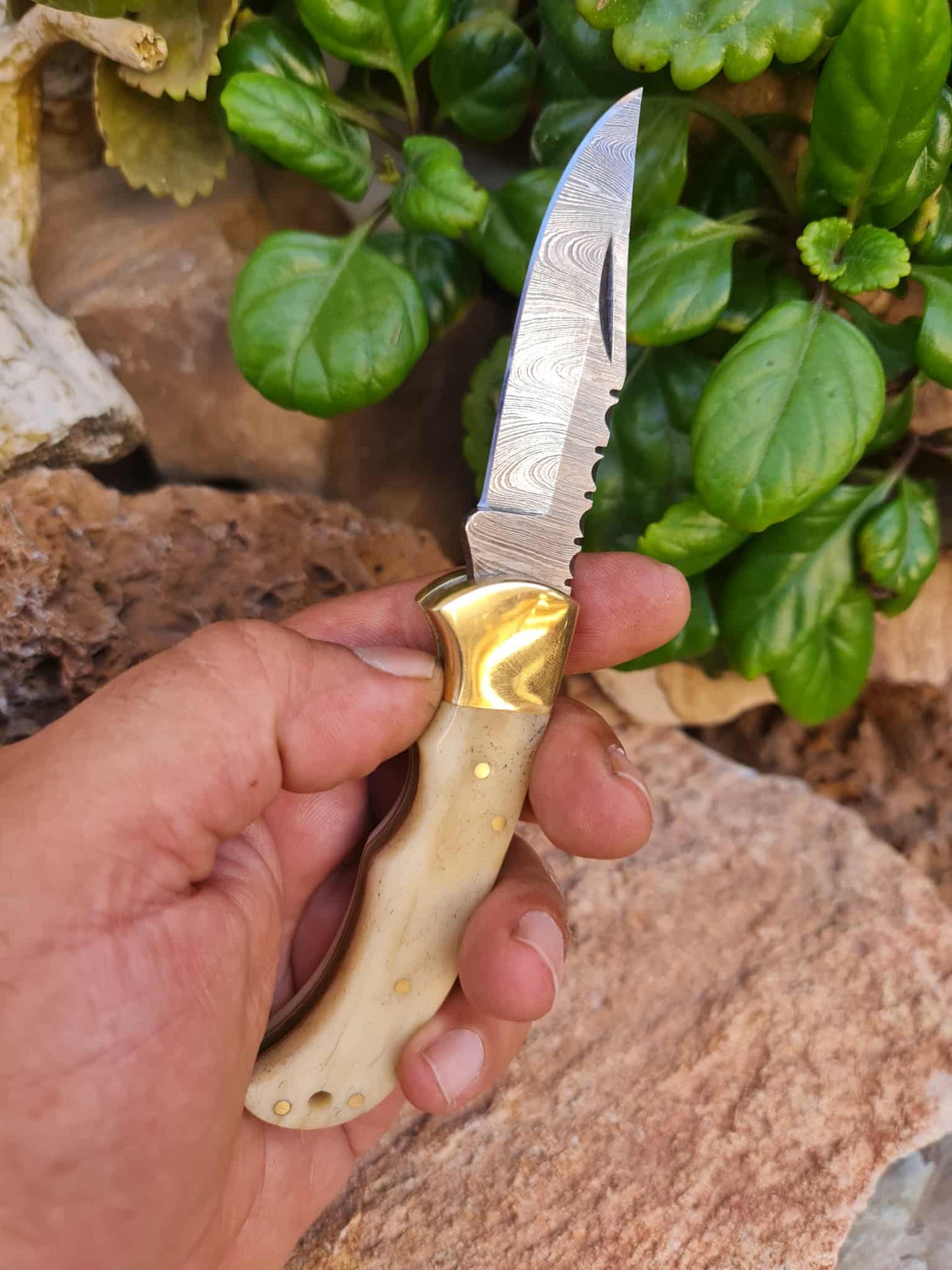 Handmade 17cm Pocket Knife with Damascus Steel - Camel Bone & Brass