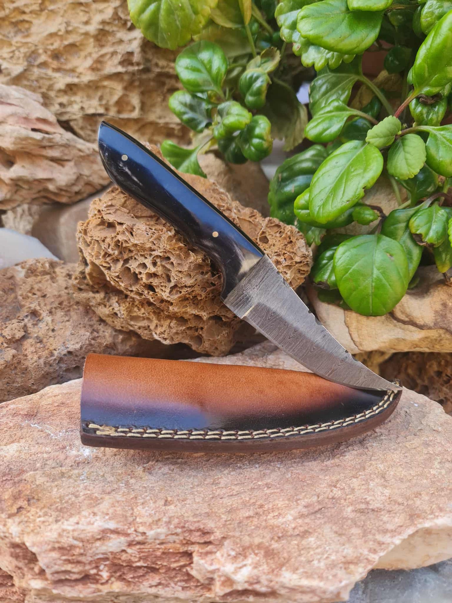 Handmade 21cm Hunting Knife with Damascus Steel & Buffalo Horn