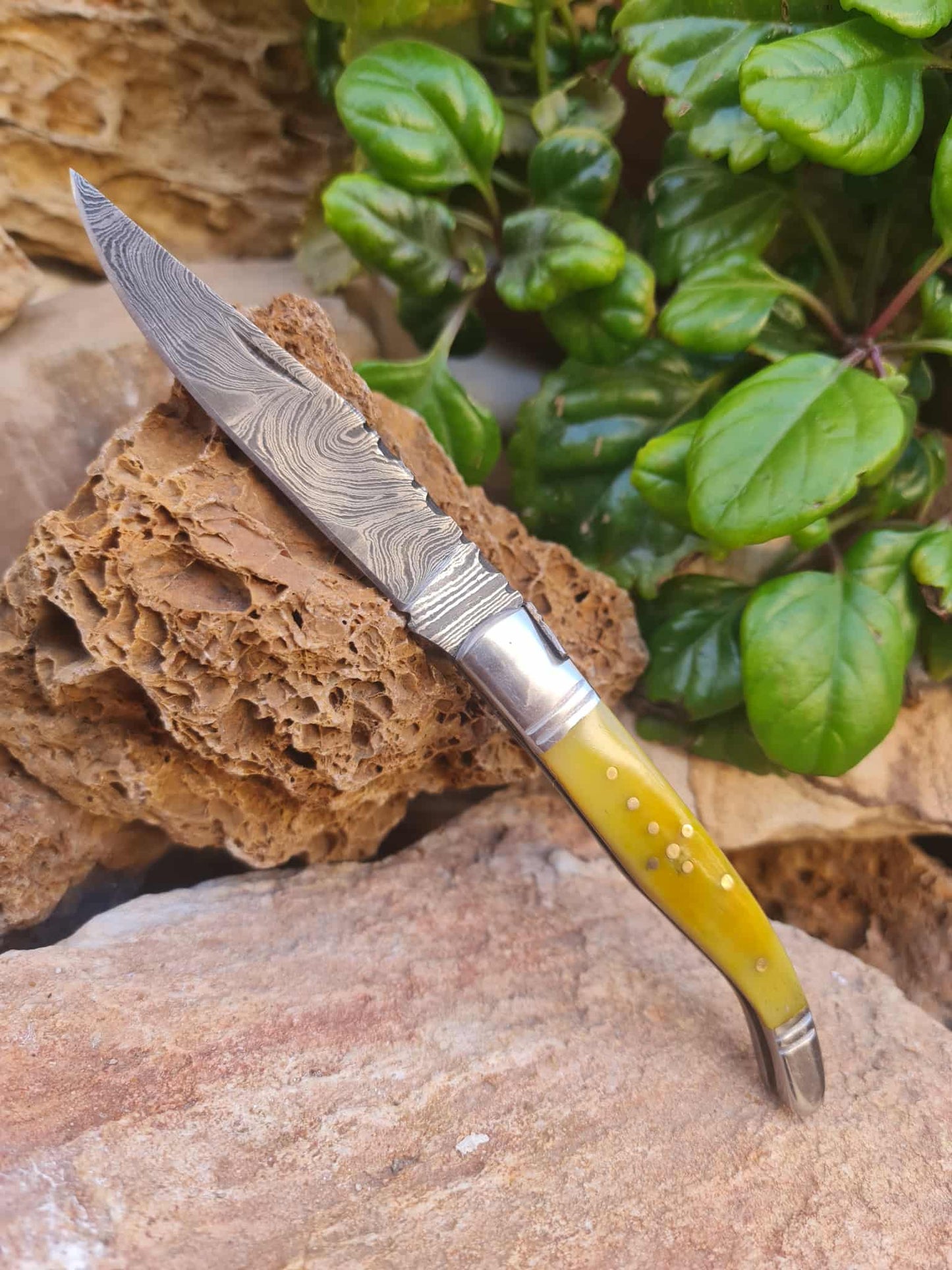 Handmade 22cm Laguiole Rustique with Damascus Steel - Stabilized Camel Bone with D2 Stainless Steel