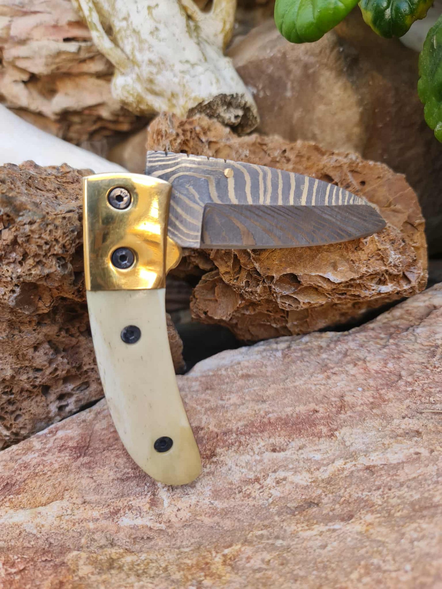 Handmade Classic Elegance – 18cm Folding Knife with Damascus Steel - Camel bone & Brass