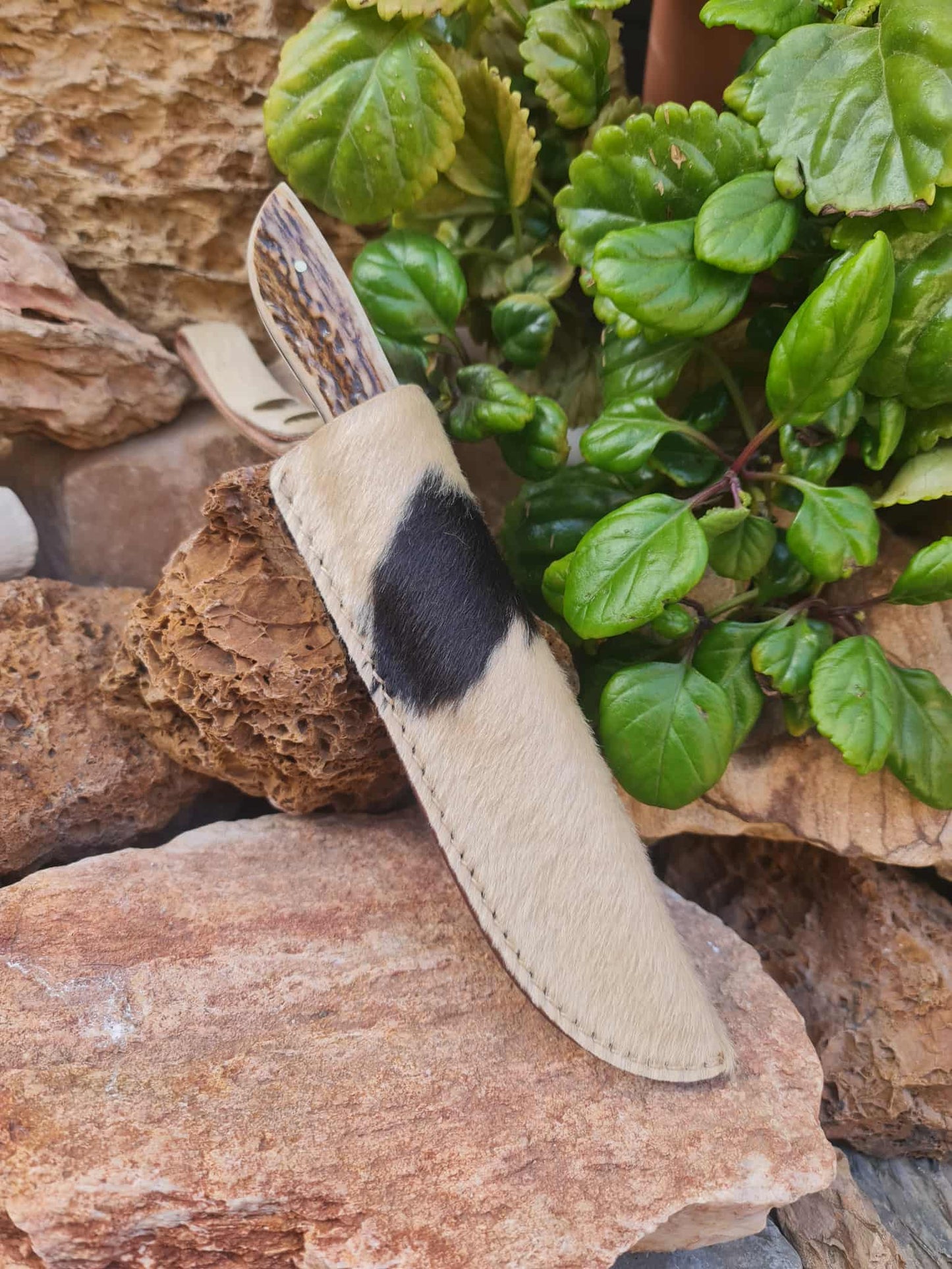 Handmade 21cm Hunting Knife with Damascus Steel & Red Deer antler