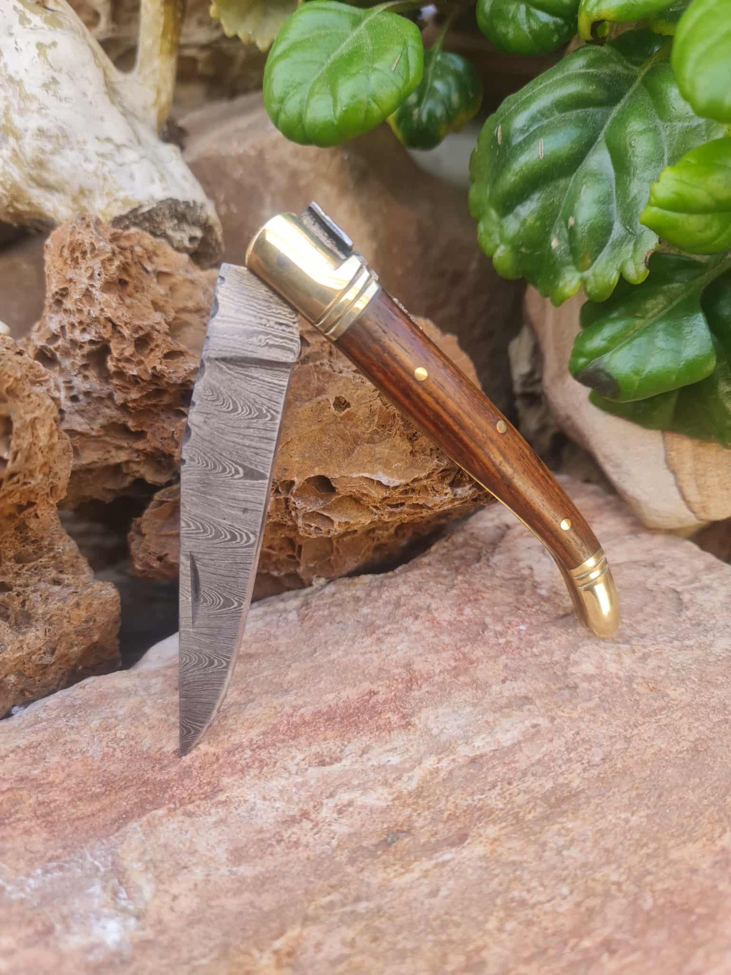 Handmade 22cm Laguiole Classique with Damascus Steel - Walnut wood & Brass