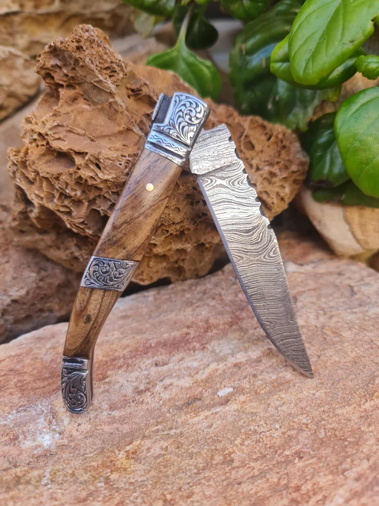 Handmade 22cm Laguiole Rustique with Damascus Steel - Olivewood & 420 Stainless Steel with Master Hand-Engraved