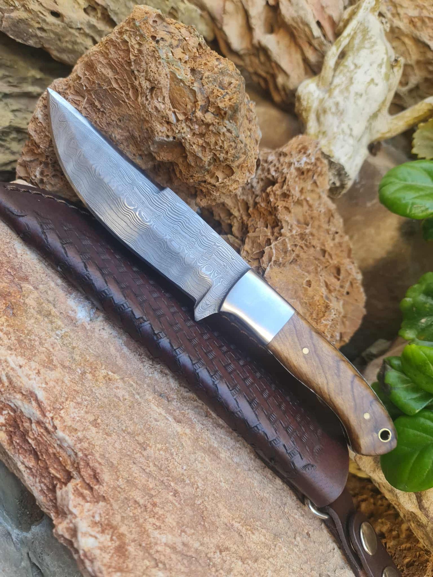 Handmade 24cm Hunting Knife with Raindrop Damascus Steel - Walnut wood & D2 Stainless Steel