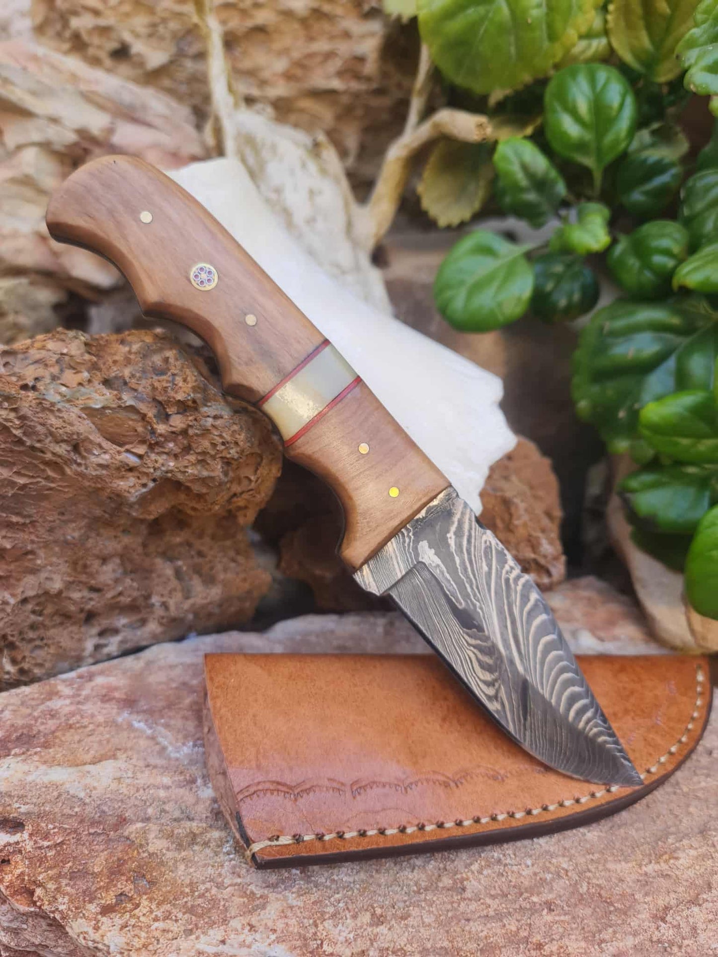 Handmade 22cm Hunting Knife with Damascus Steel - Olive wood & Camel bone