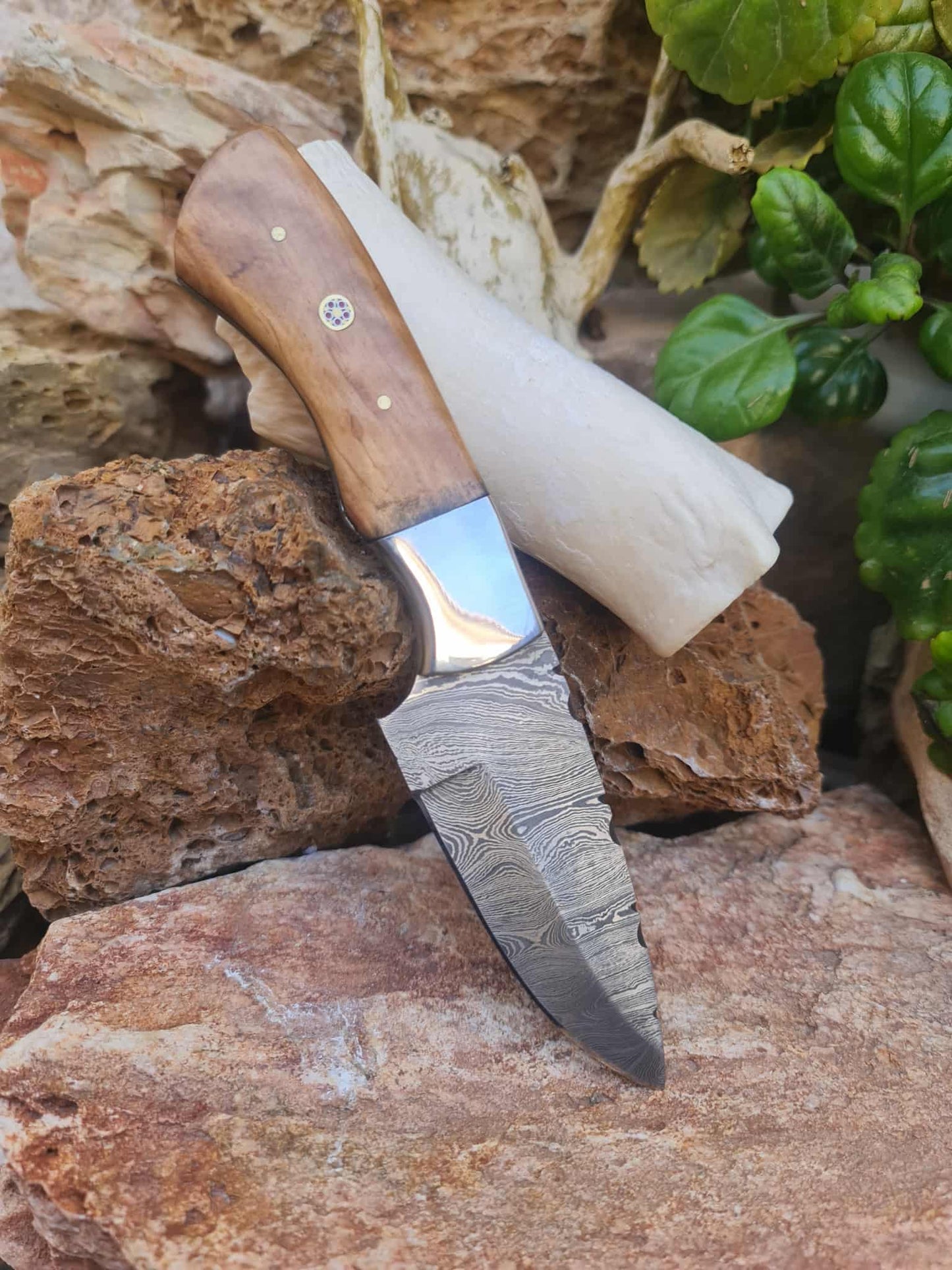 Handmade 20cm Skinner Knife with Damascus Steel - Olive wood & D2 Stainless Steel