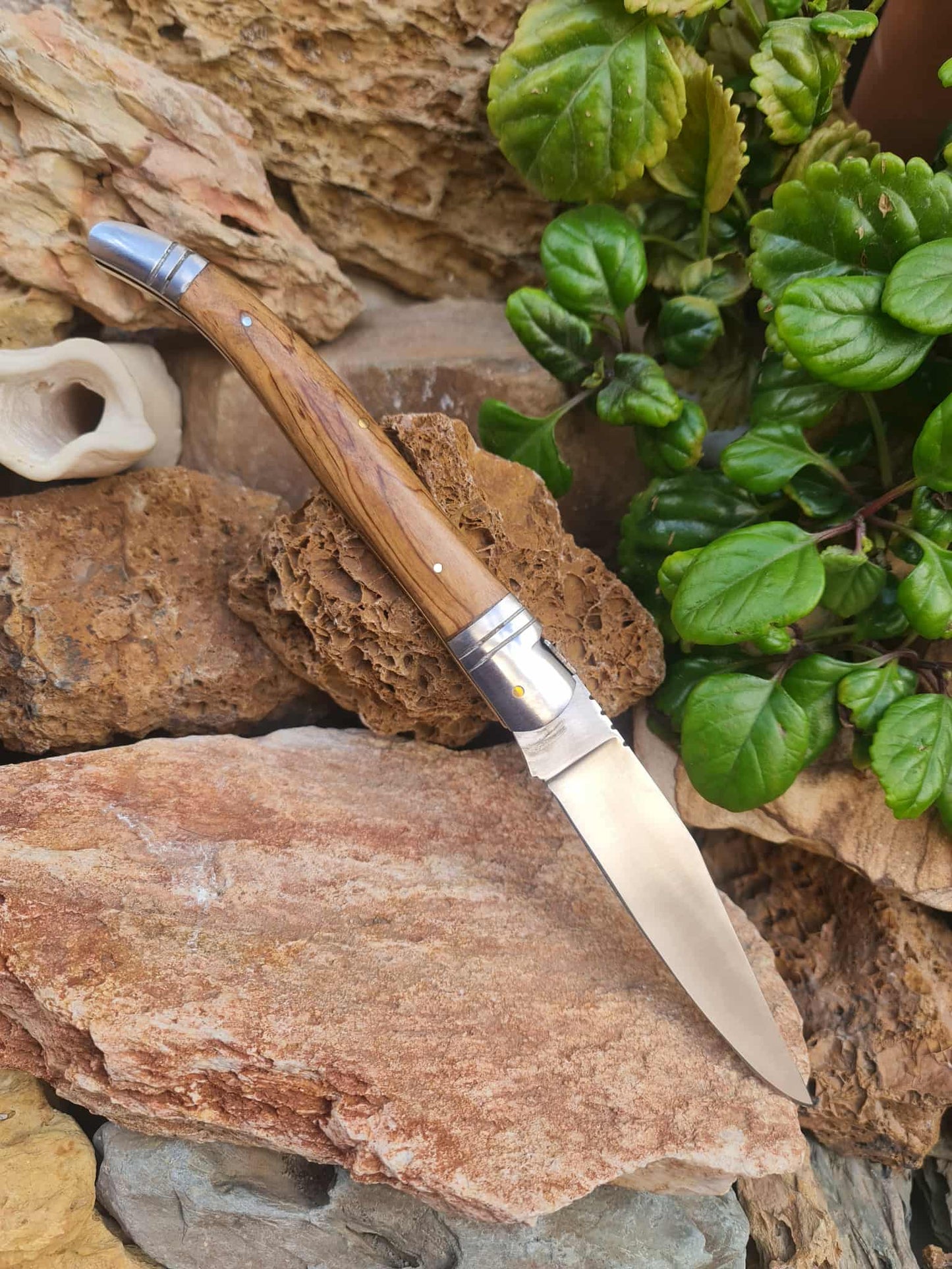 Handmade 32cm Laguiole Bougna with 1421 carbon steel - Olivewood & D2 stainless steel