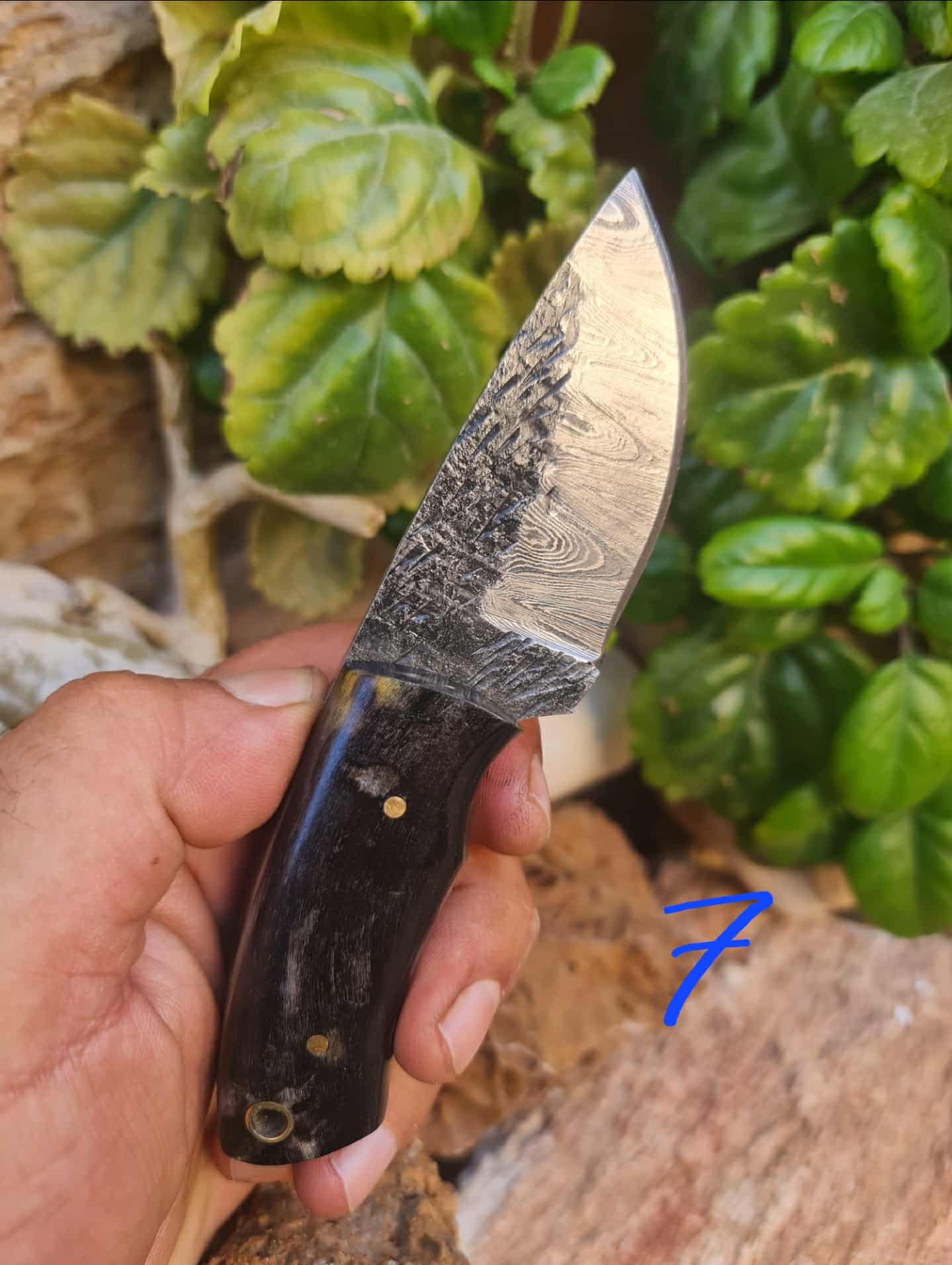 Handmade 15cm Mini Skinner Knife with Damascus Steel & Ram Horn