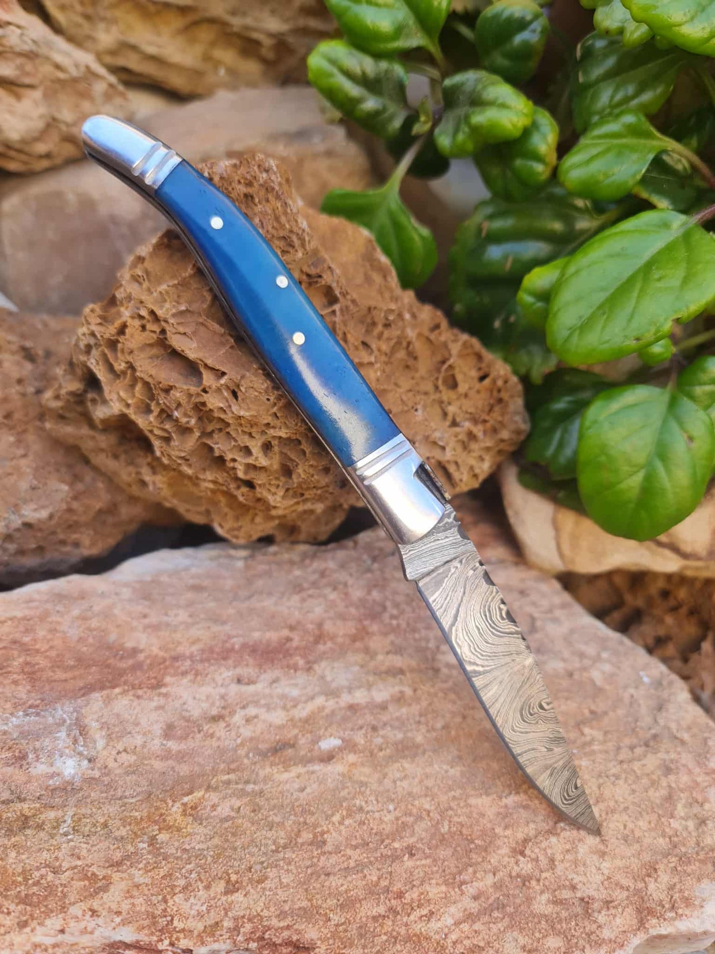 Handmade 22cm Laguiole Rustique with Damascus Steel - Stabilized Camel Bone with D2 Stainless Steel