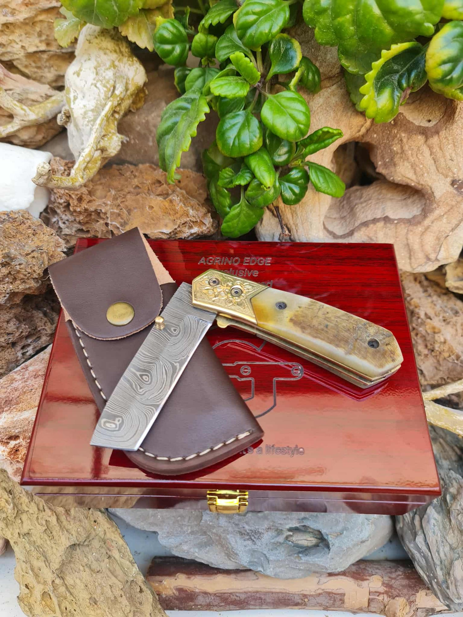 Limited Edition
