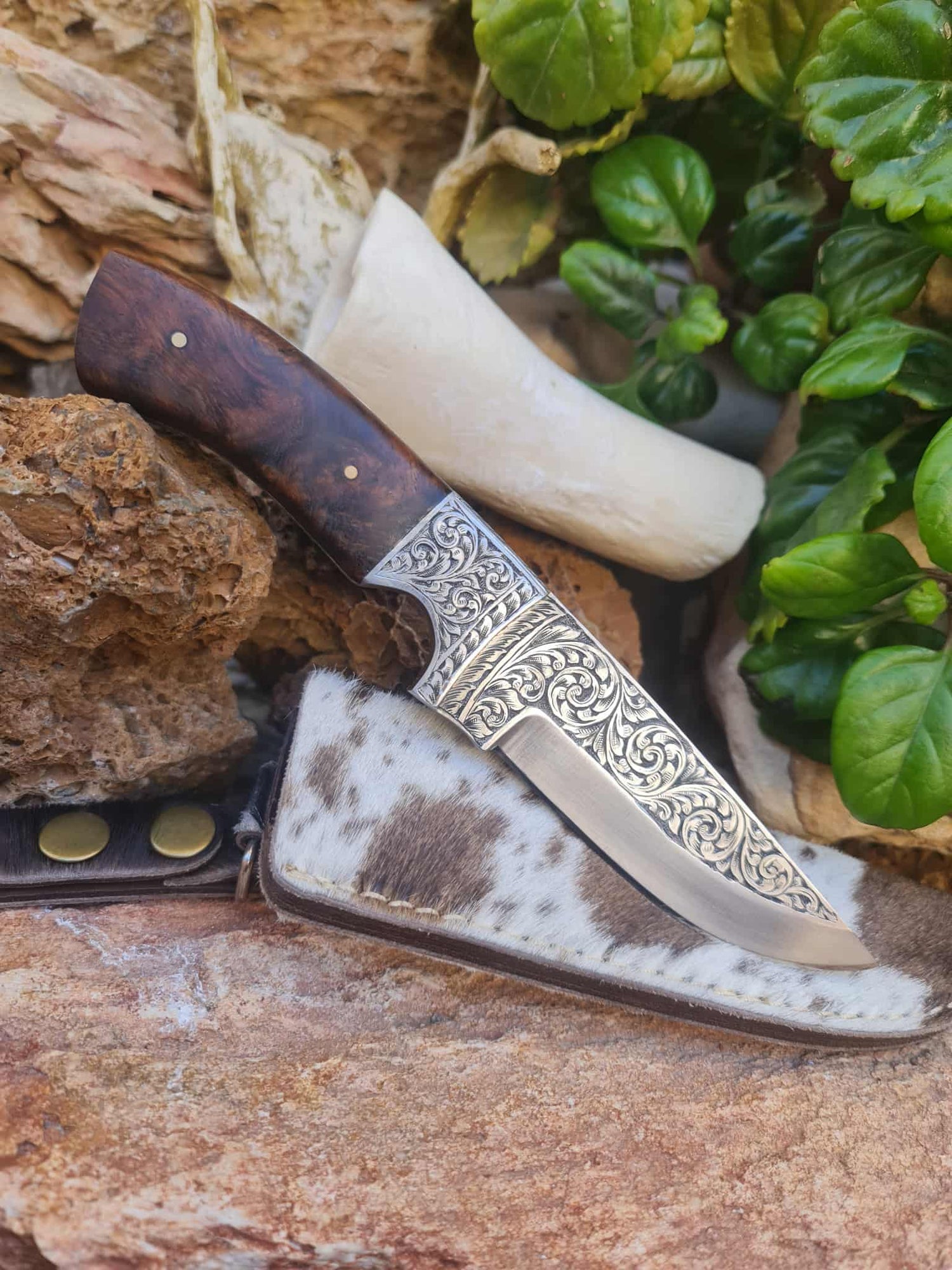 Fixed Blade Knives