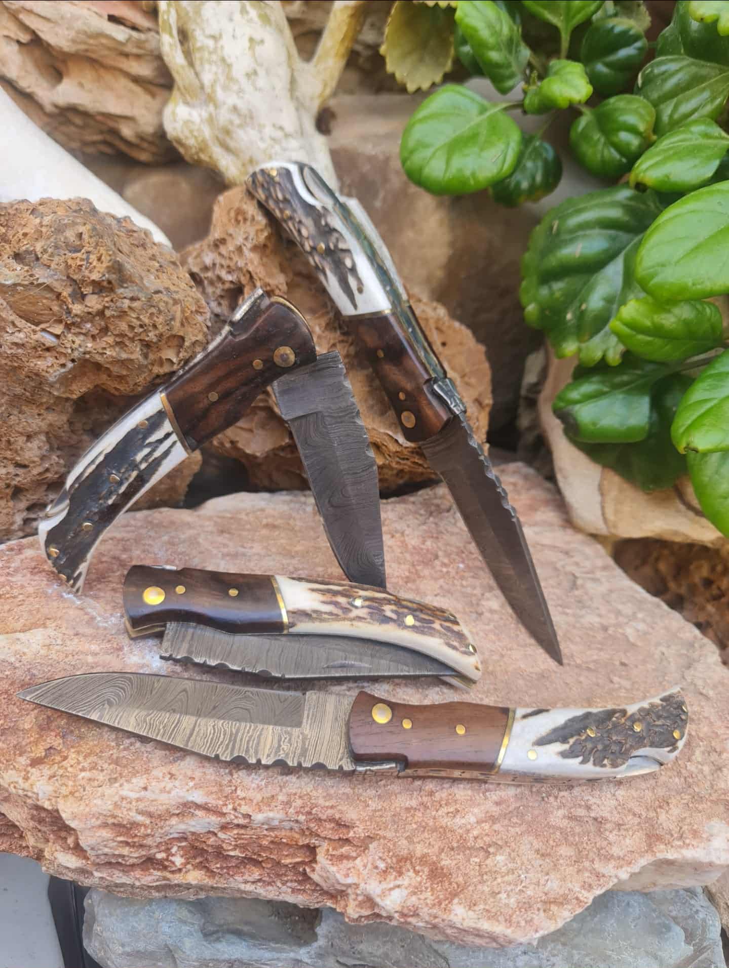 Folding Knives