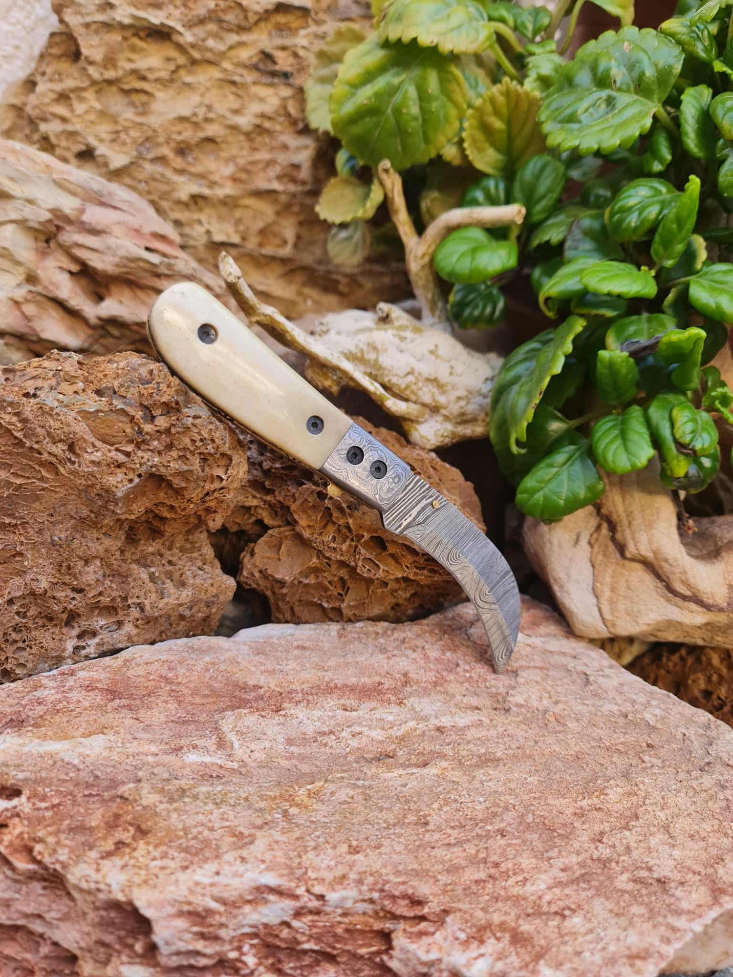 Karambit & Hawkbill Knives
