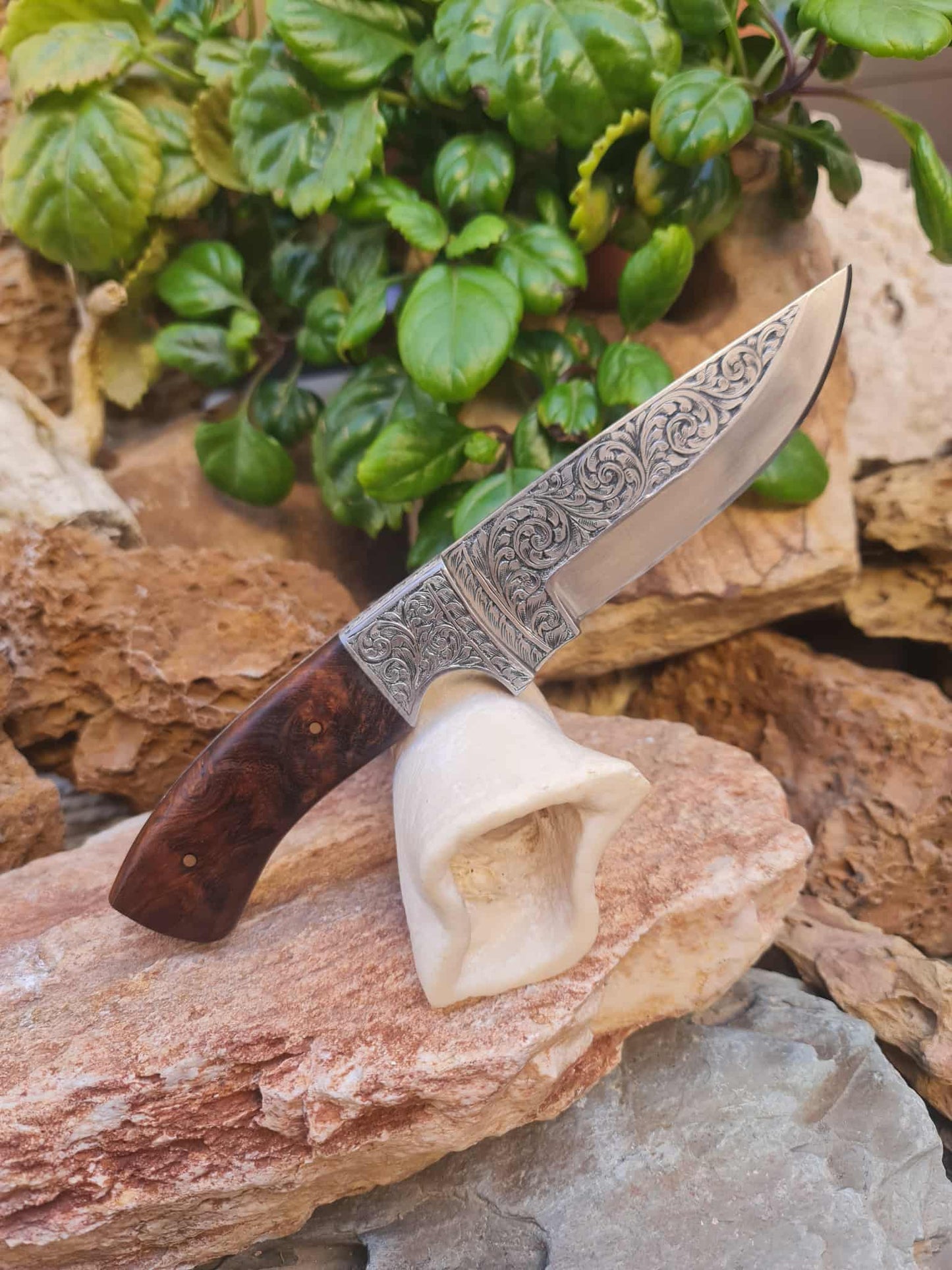 Handmade 23cm Exclusive Hunting Knife with Stainless Steel with Master Hand-Engraved & Rosewood