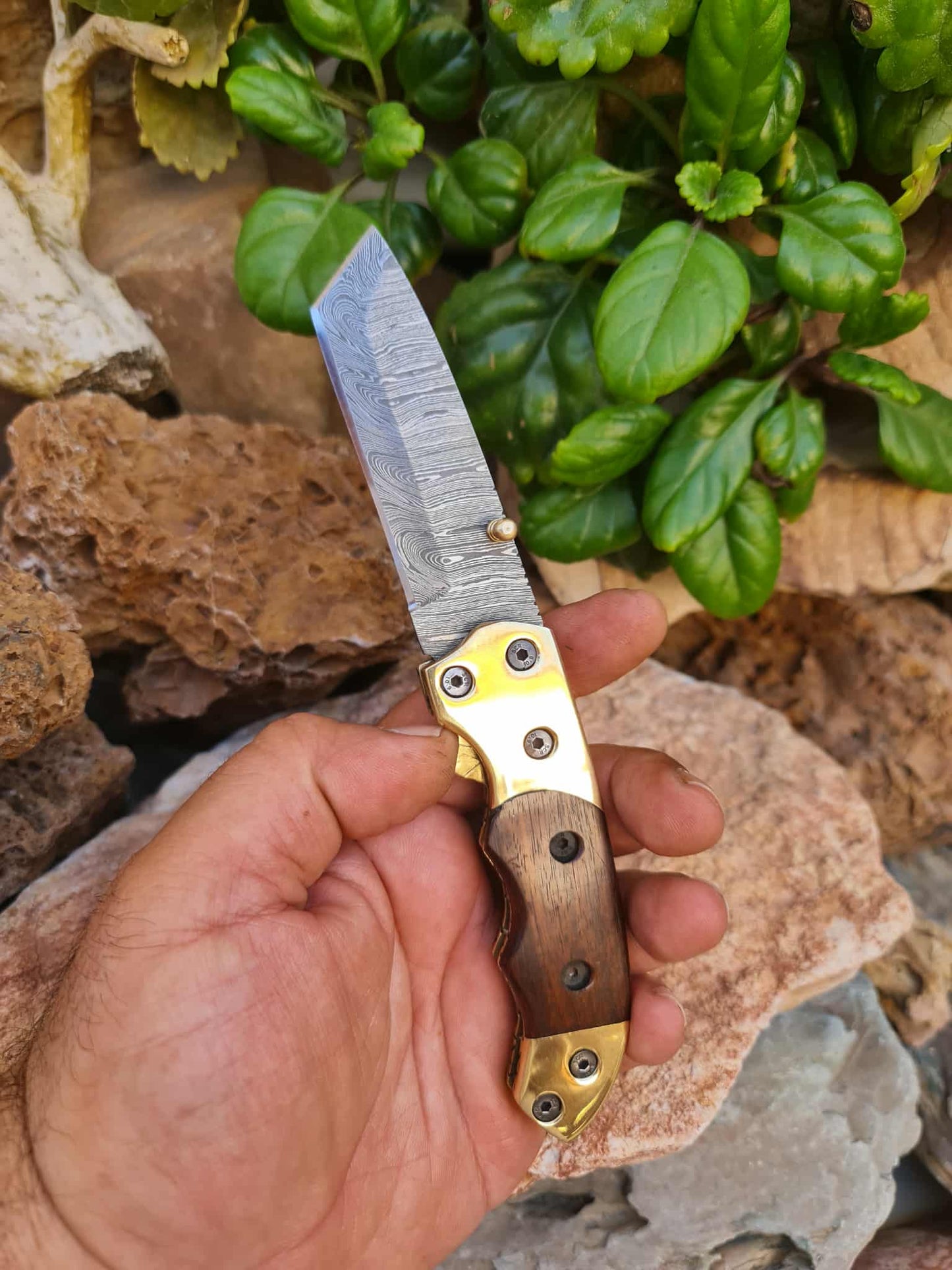 Handmade Tanto – 19cm Folding Knife with Damascus Steel - Walnut Wood & Brass