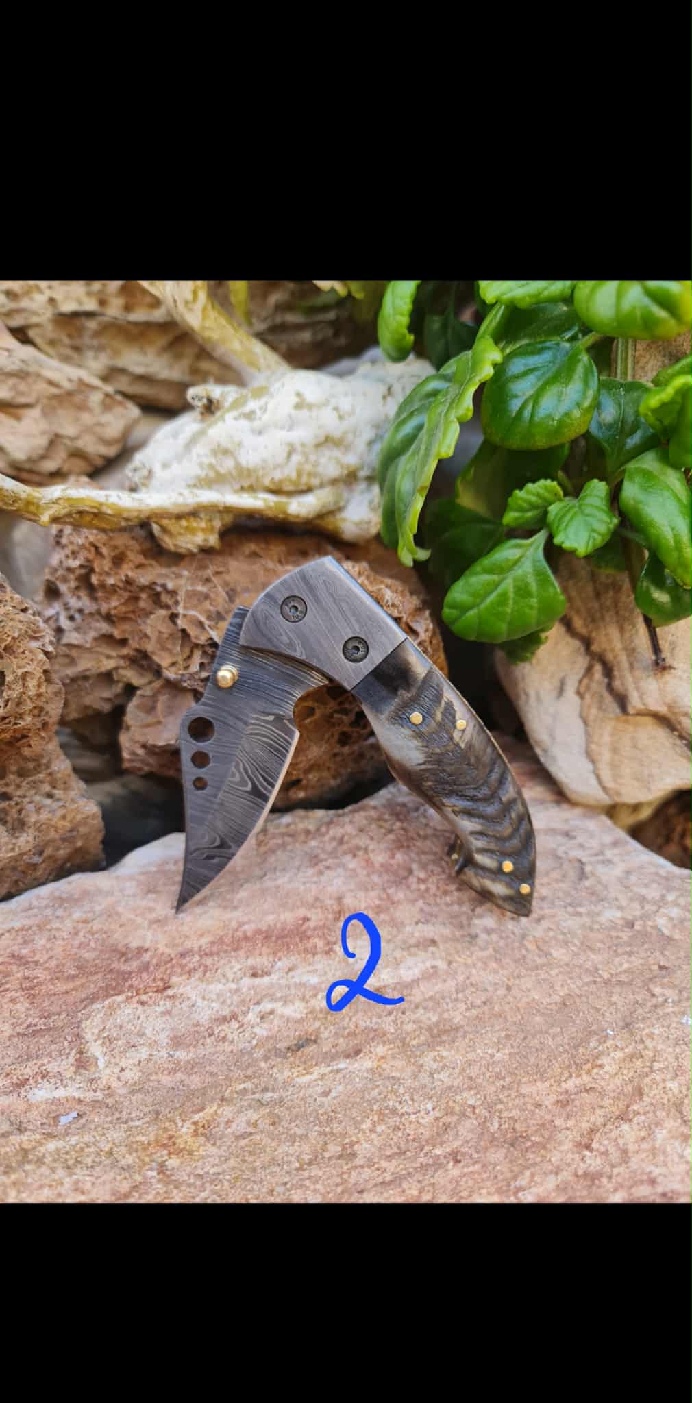 Handmade Limited Edition with Serial Number 18cm Knife with Damascus Steel & Asian Mouflon Horn (Exclusive Knife with Serial Number)