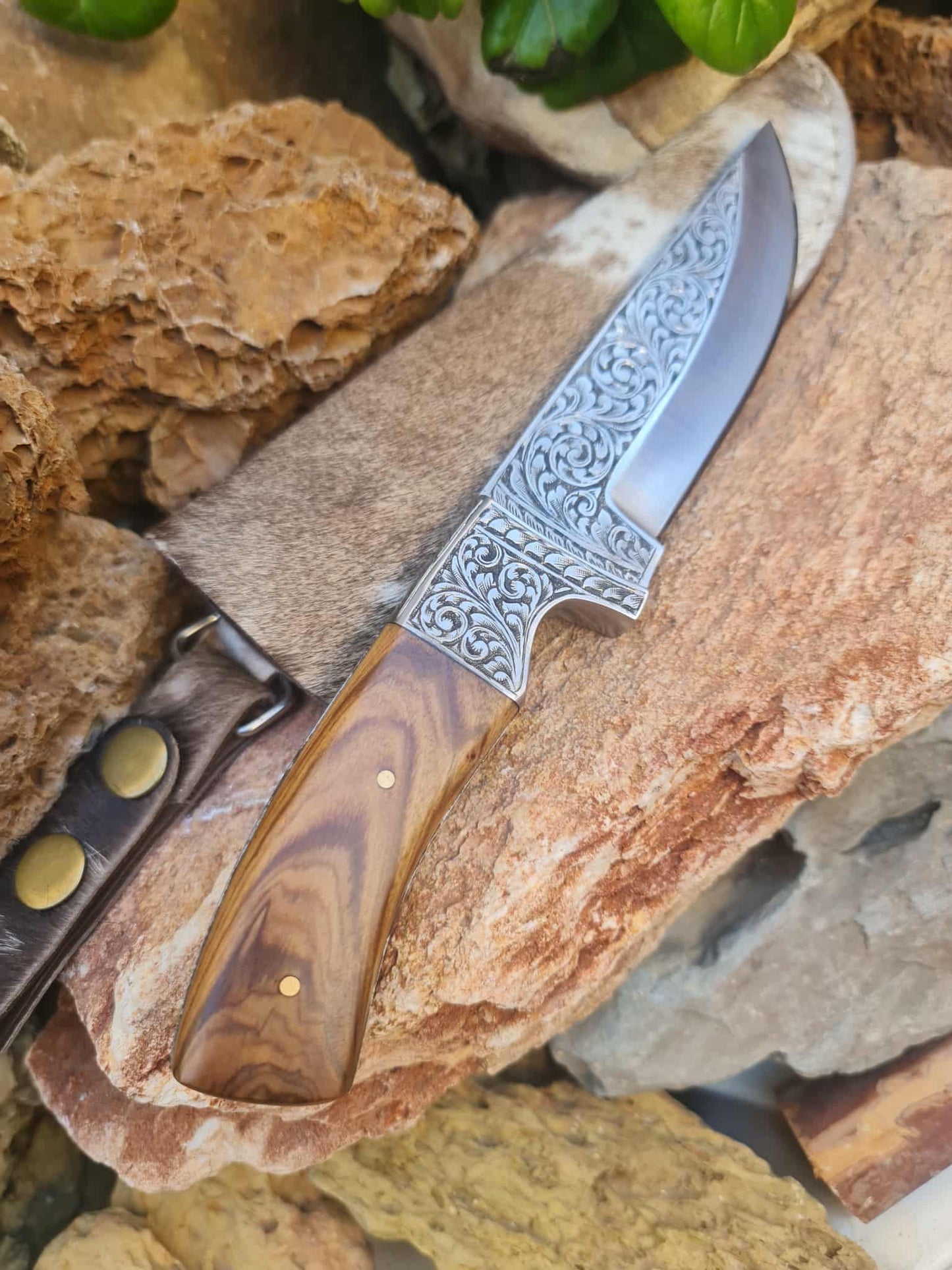 Handmade 23cm Exclusive Hunting Knife with Stainless Steel with Master Hand-Engraved & Olive wood