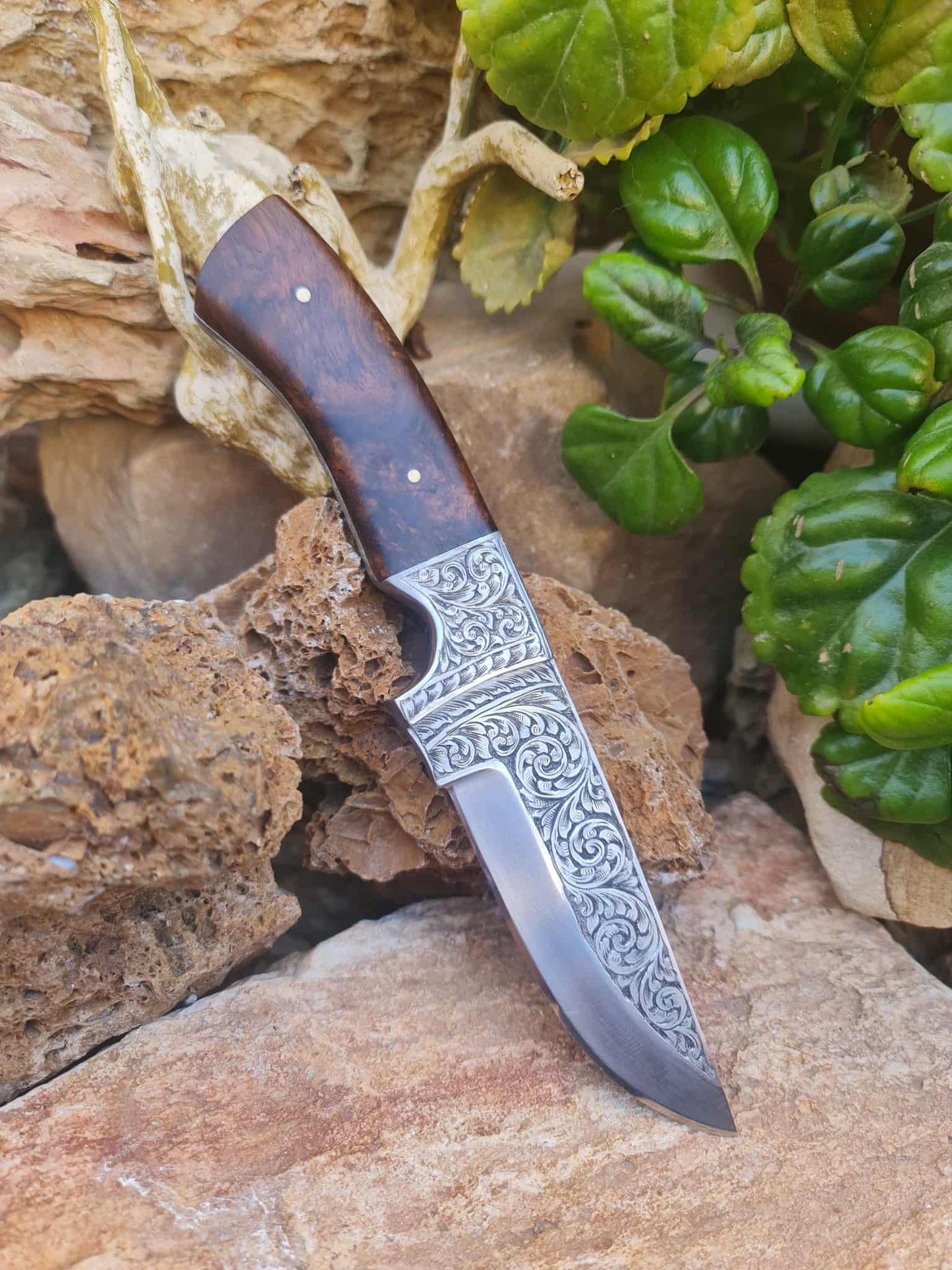 Handmade 23cm Exclusive Hunting Knife with Stainless Steel with Master Hand-Engraved & Rosewood