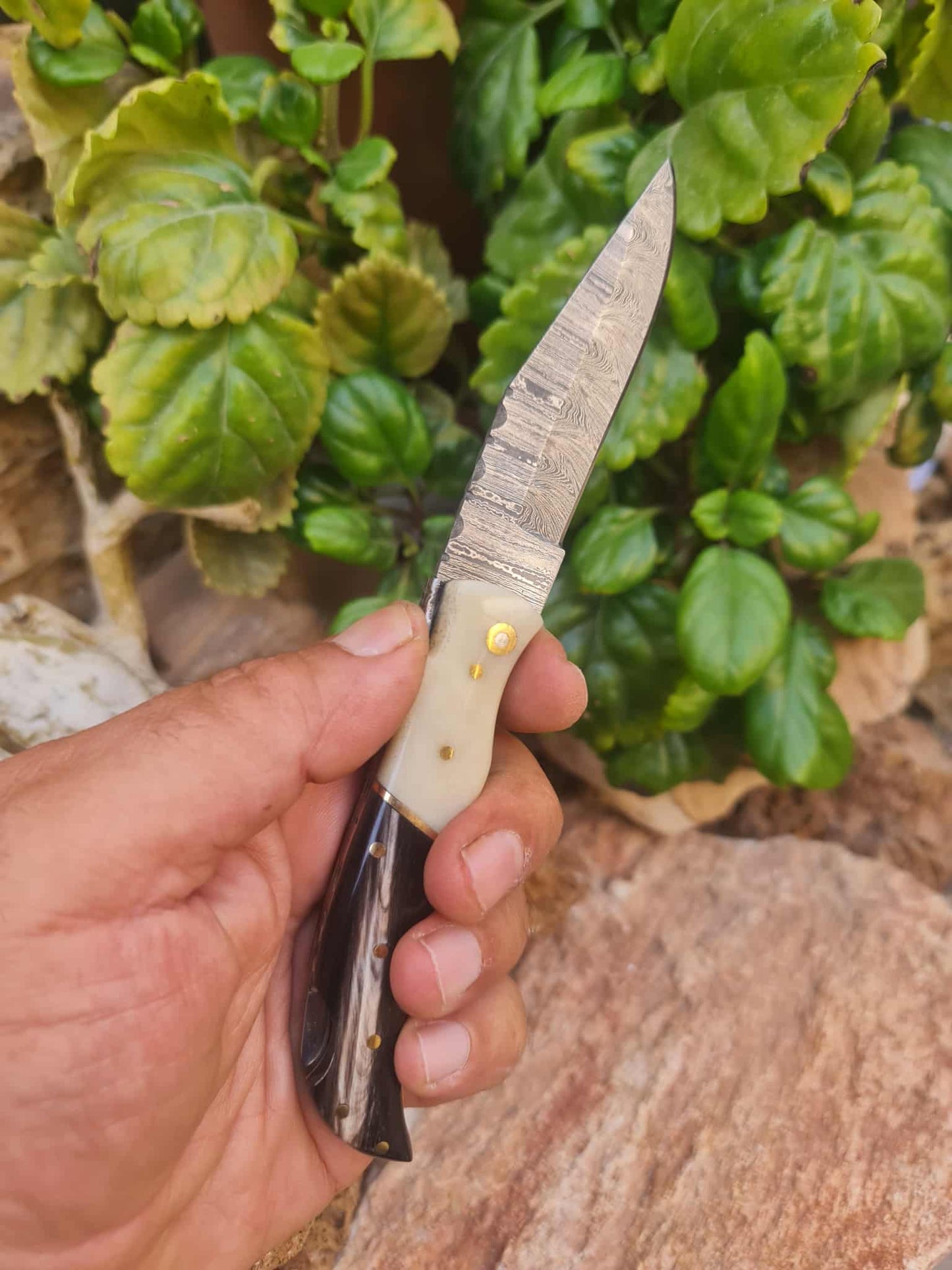 Handmade 19cm Laguiole Élite with Damascus Steel & Buffalo horn