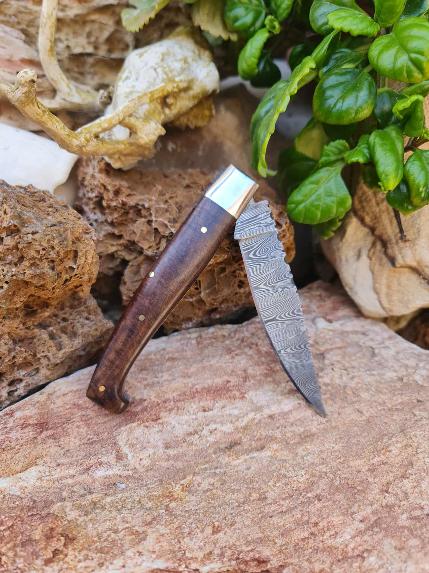 Handmade Resolza Pattadese – 23cm Italian Style Folding Knife with Damascus Steel & Walnut Wood