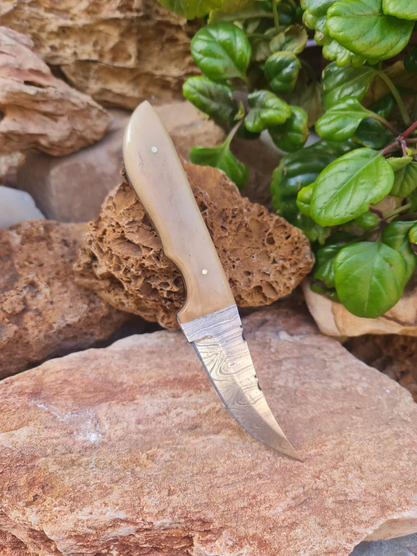 Handmade 21cm Hunting Knife with Damascus Steel & Camel bone