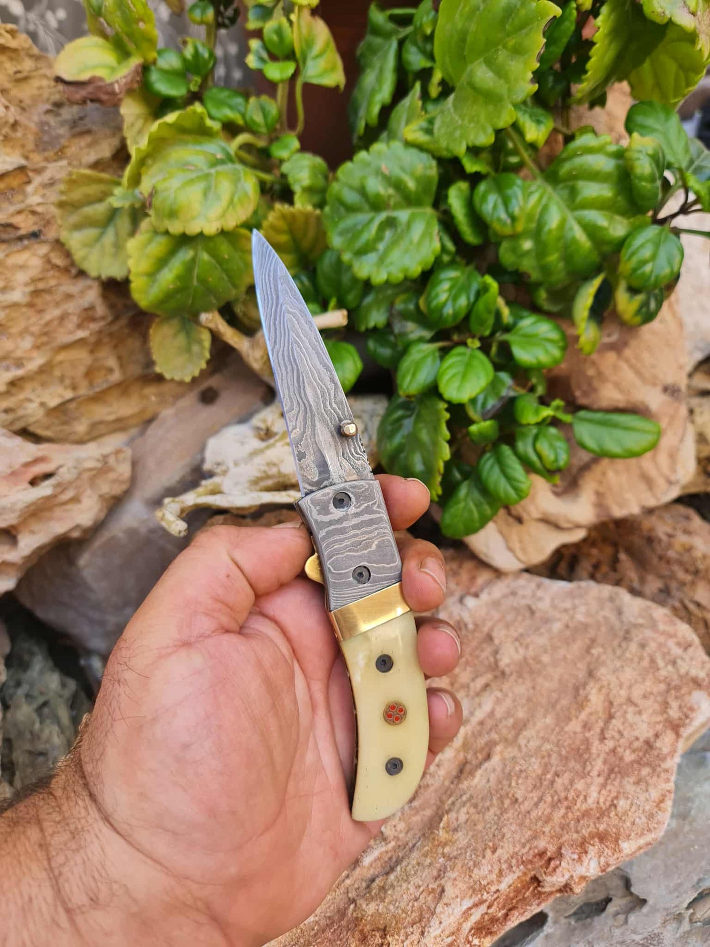 Handmade Classic Elegance – 20cm Folding Knife with Damascus Steel - Camel Bone & Brass