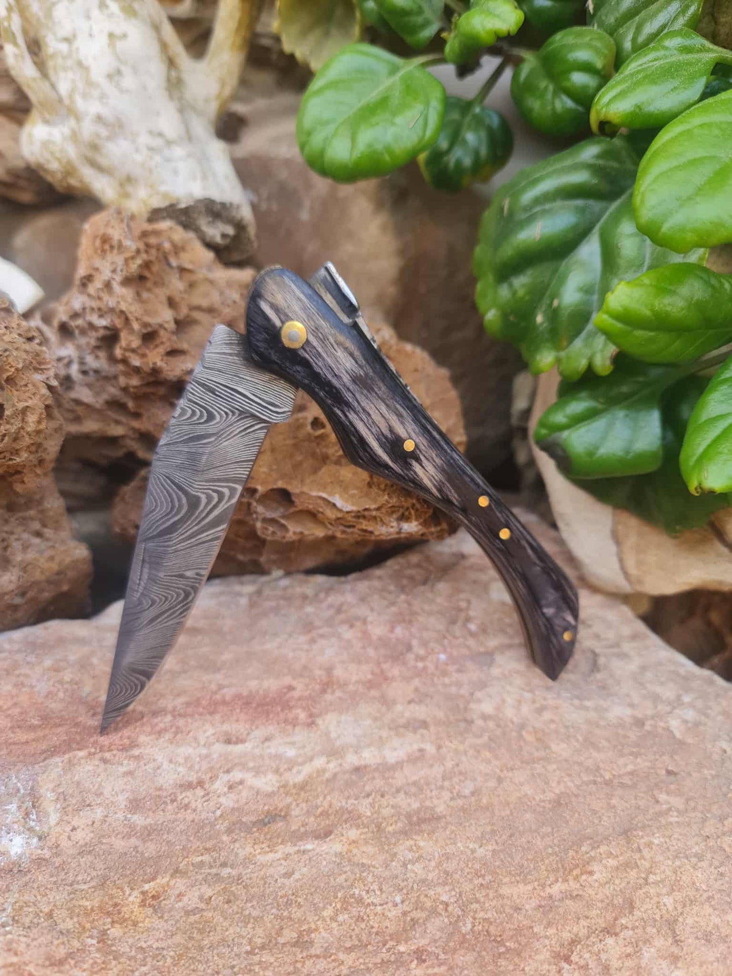 Handmade 22cm Laguiole with Damascus Steel & Stabilized wood