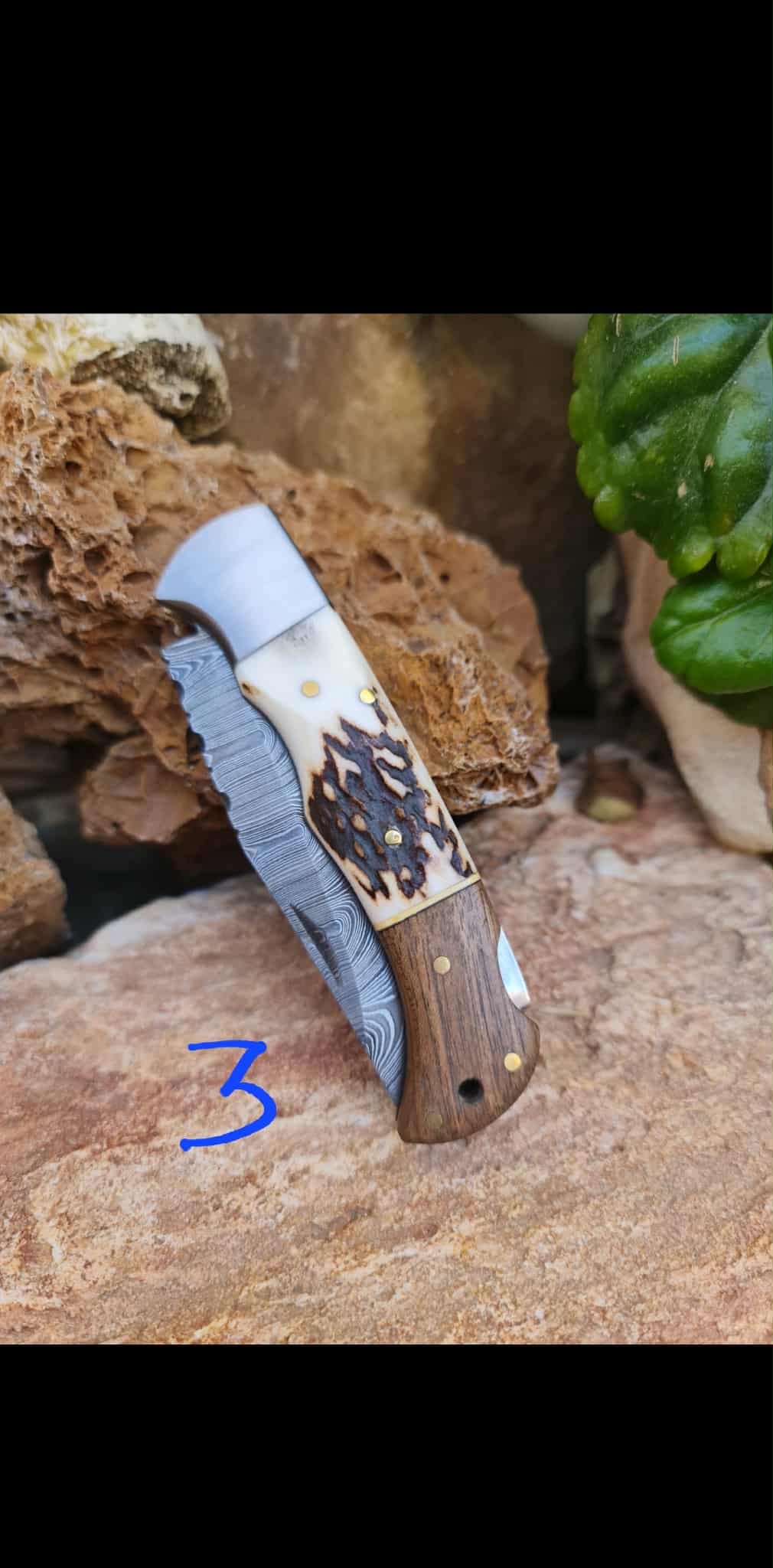 Handmade 19cm Pocket Knife with Damascus Steel - Red deer antler - Walnut wood & D2 Stainless Steel