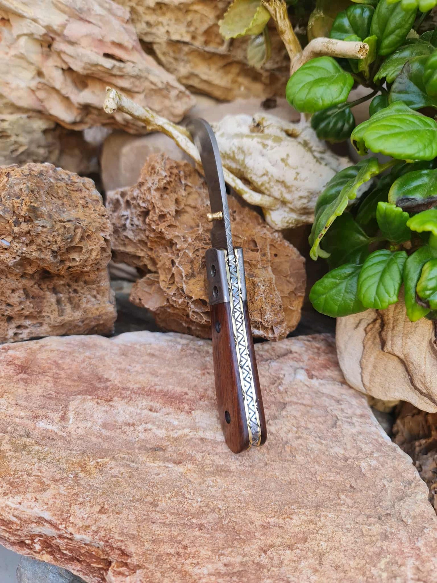 Handmade Hawkbill – 18cm Folding Knife with Damascus Steel & Walnut Wood