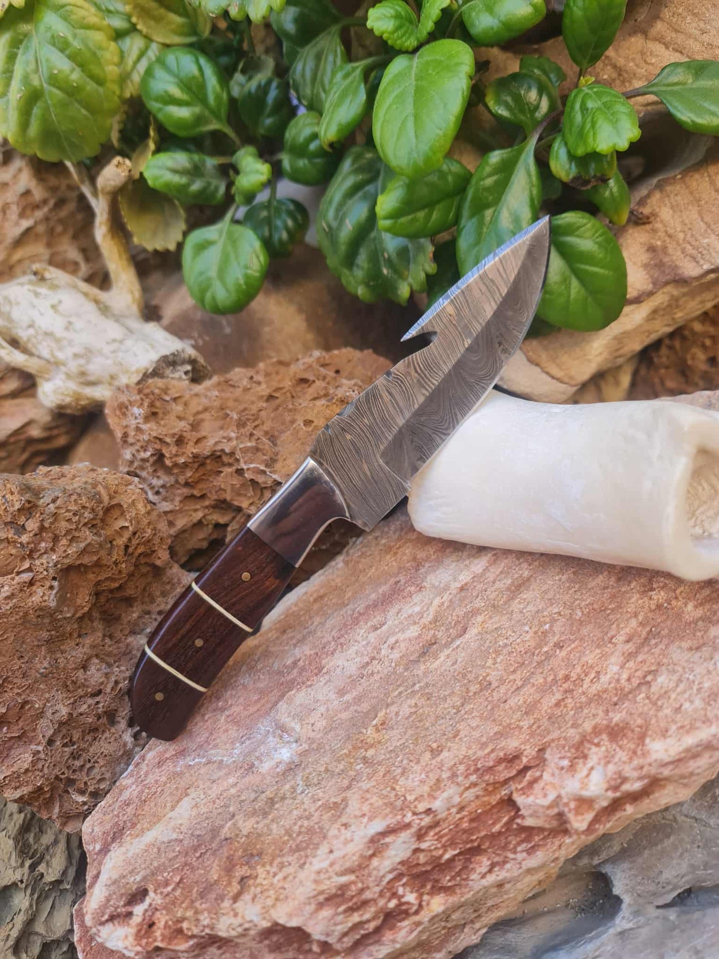 Handmade 21cm Gut hook Knife with Damascus Steel - Walnut wood & D2 Stainless Steel