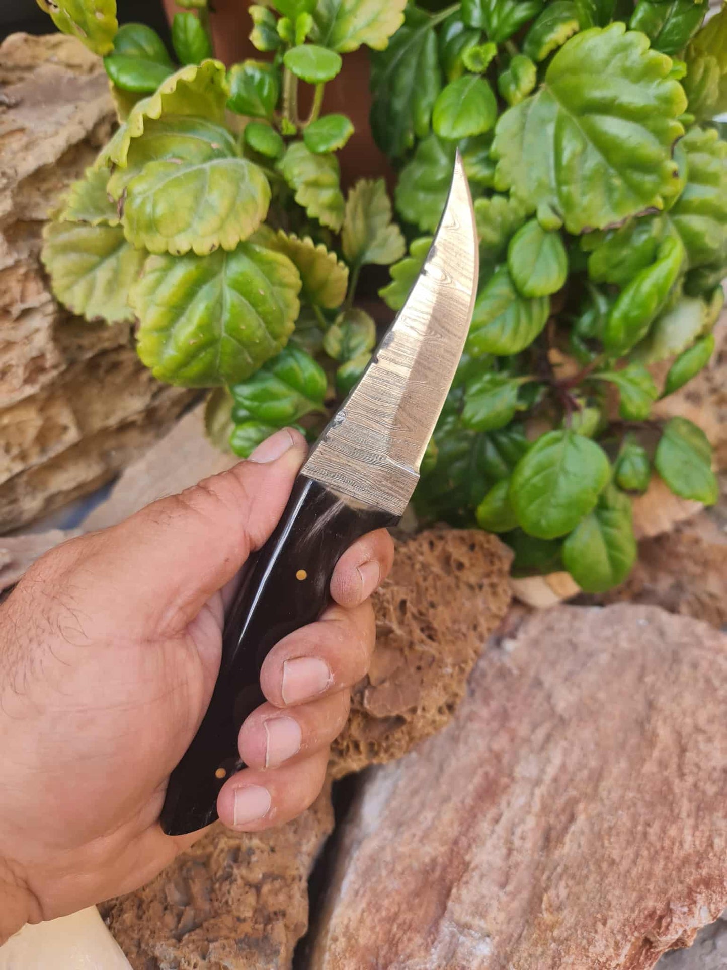 Handmade 21cm Hunting Knife with Damascus Steel & Buffalo Horn