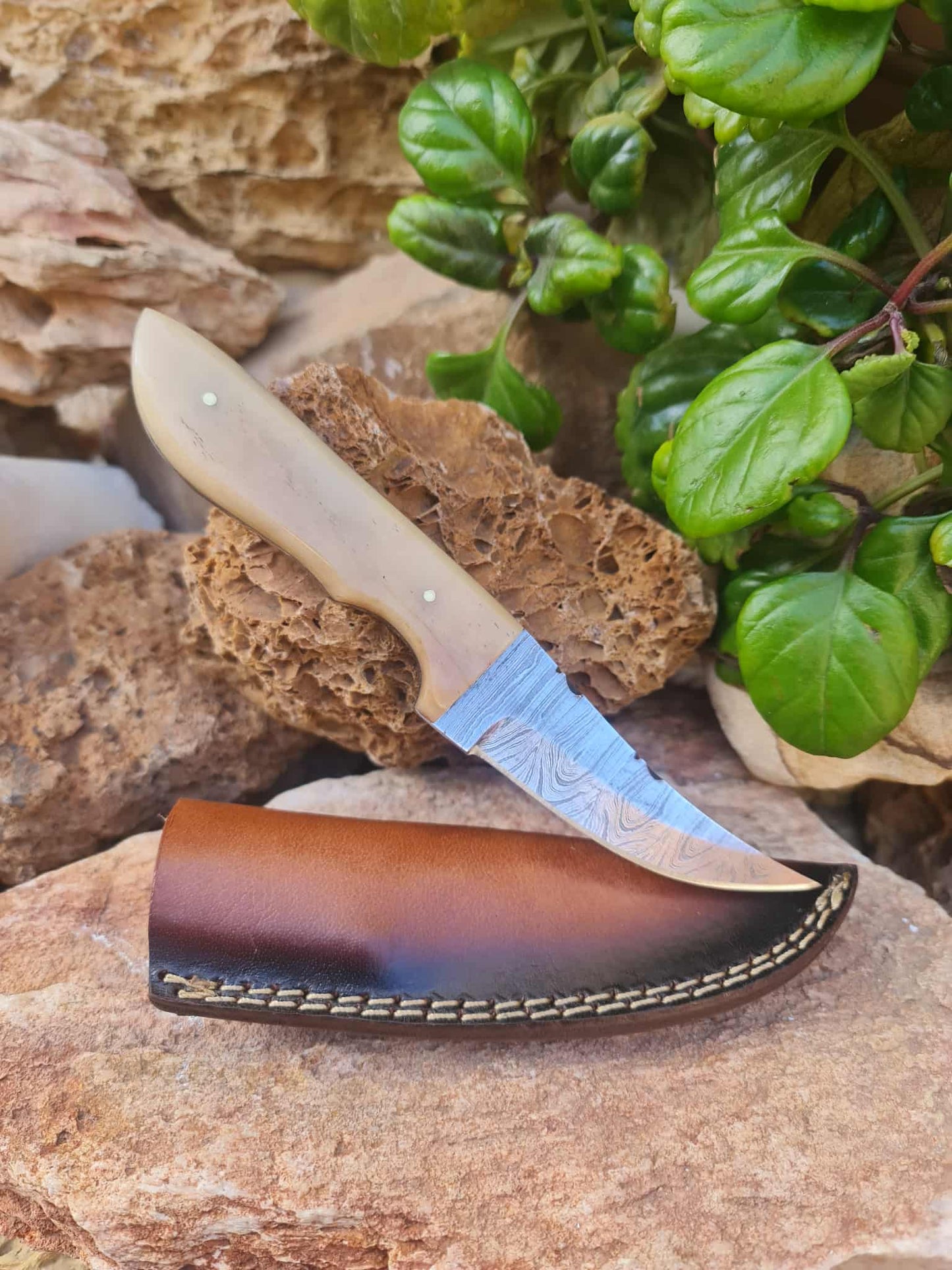 Handmade 21cm Hunting Knife with Damascus Steel & Camel bone