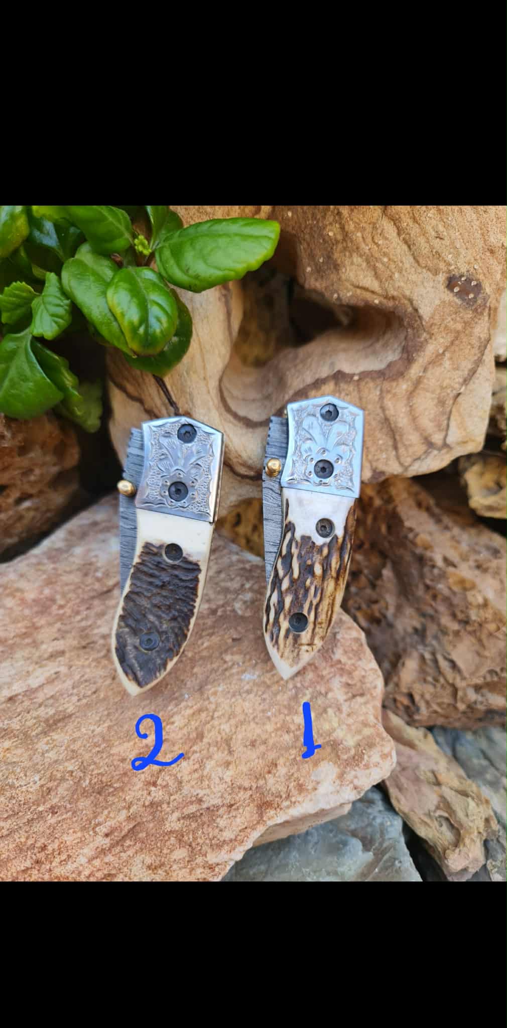 Handmade Limited Edition with Serial Number 16cm Knives with Damascus Steel - Red Deer antler & Hand Engraved Stainless Steel D2 (Exclusive Knife with Serial Number)