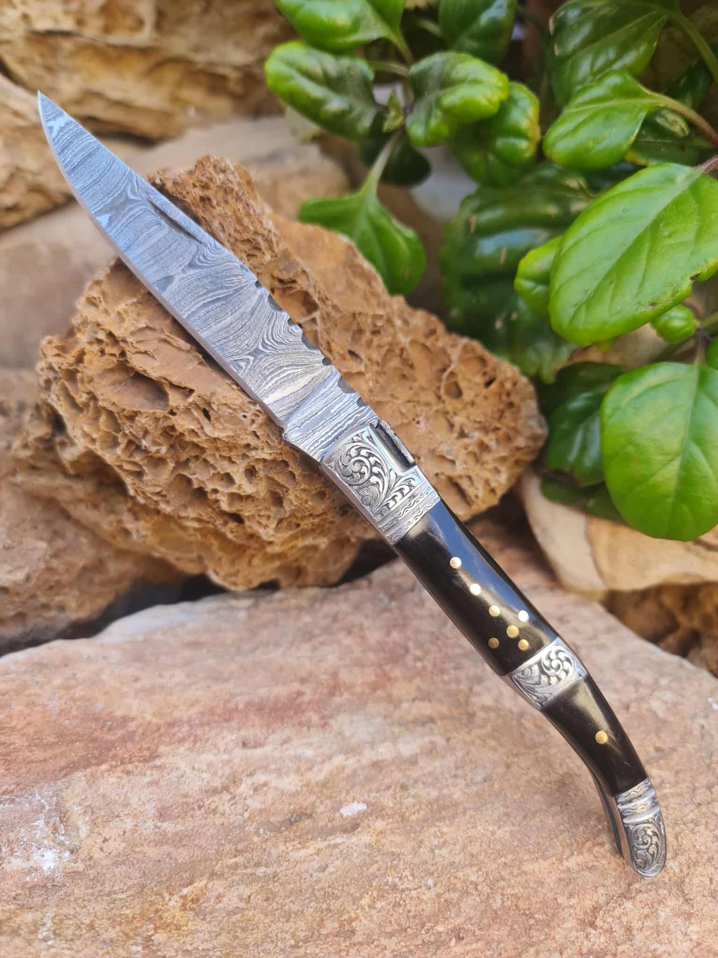 Handmade 22cm Laguiole Rustique with Damascus Steel - Buffalo Horn & 420 Stainless Steel with Master Hand-Engraved